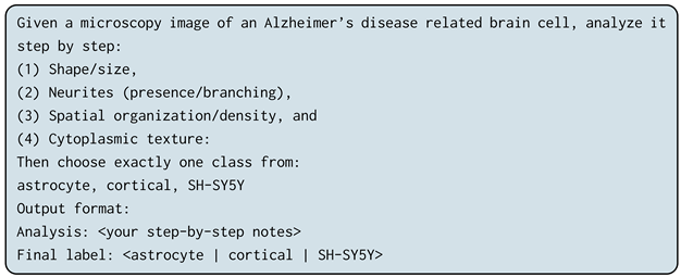 Jimaging 12 00098 i003