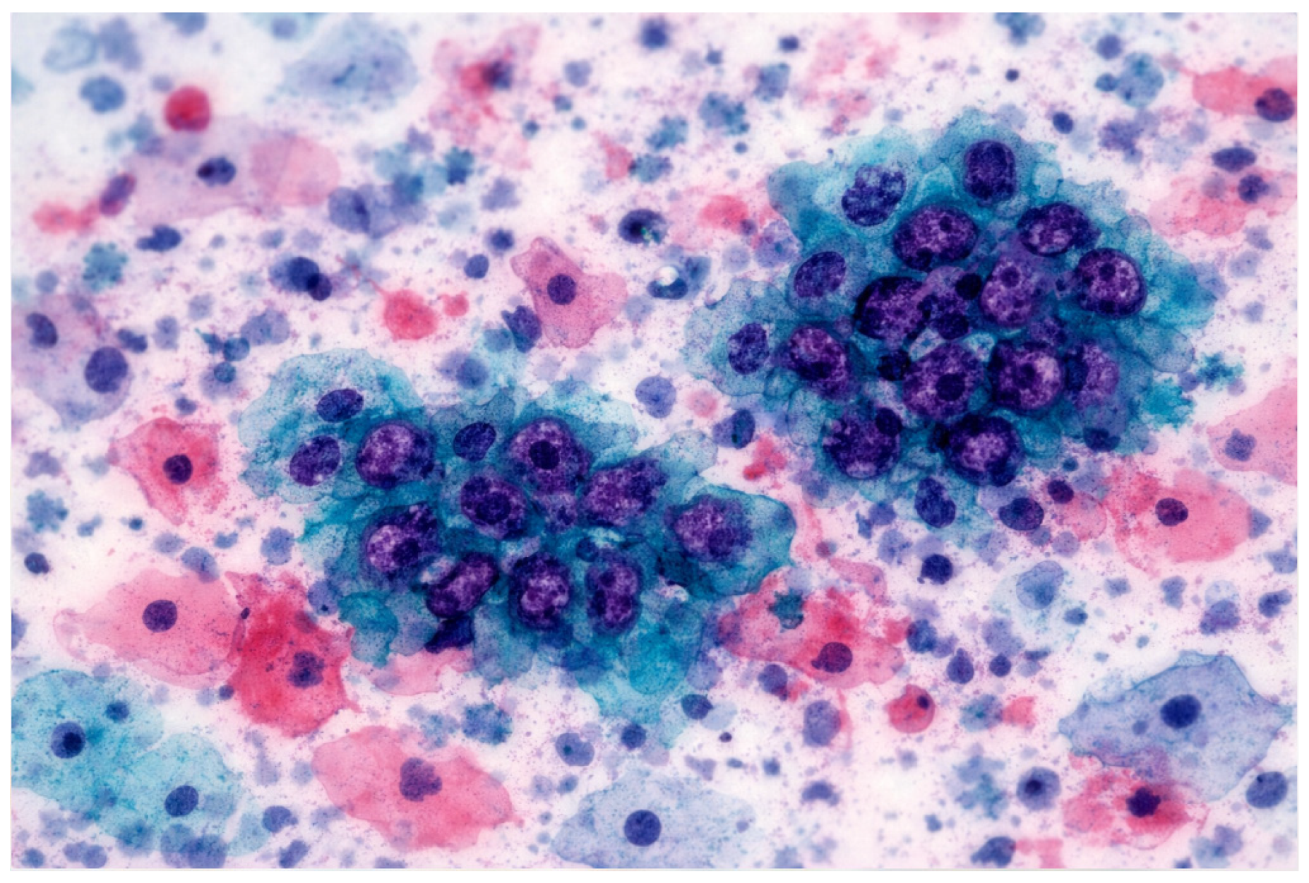 Jimaging 12 00100 g001