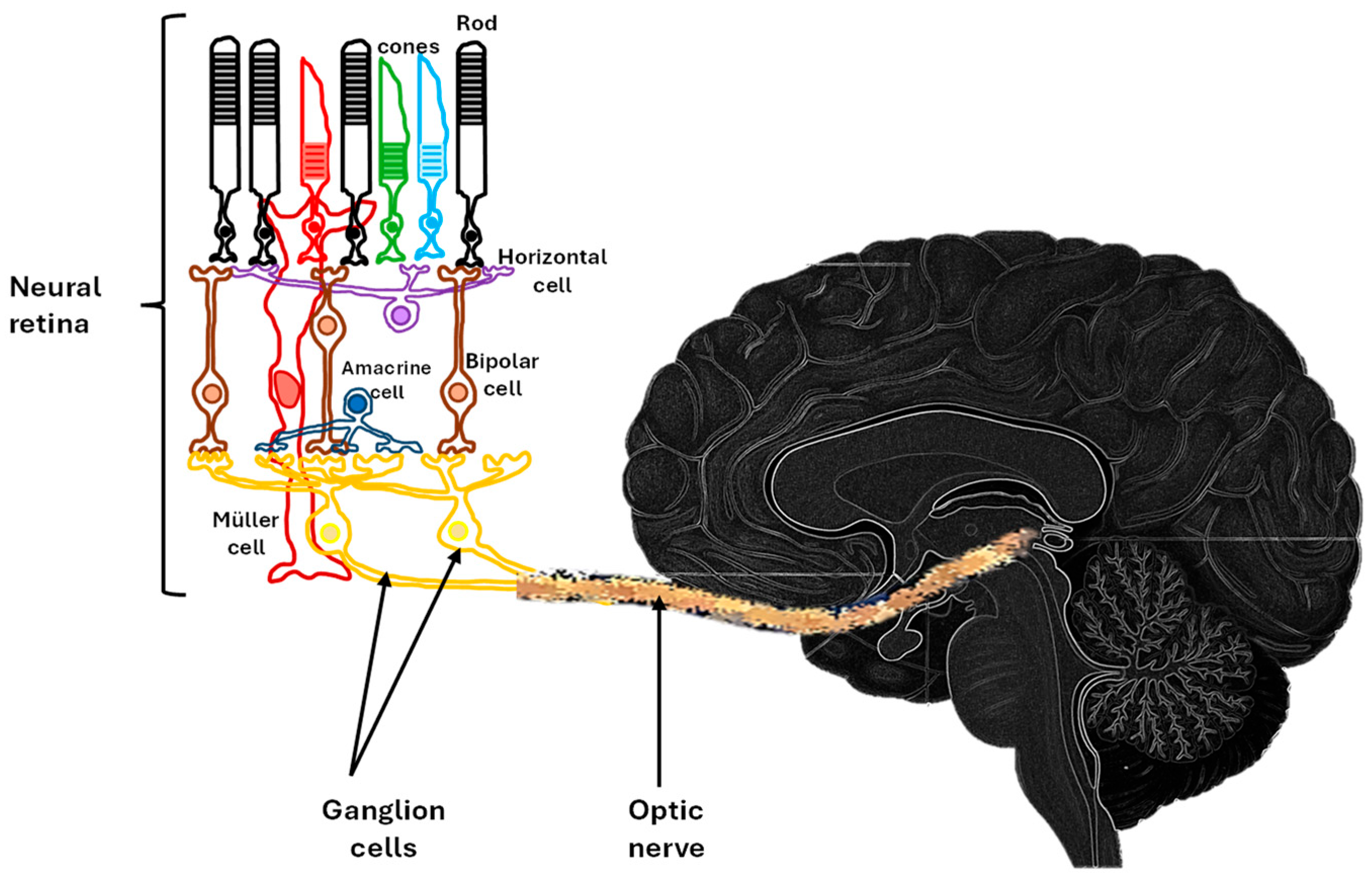 Jimaging 12 00104 g001
