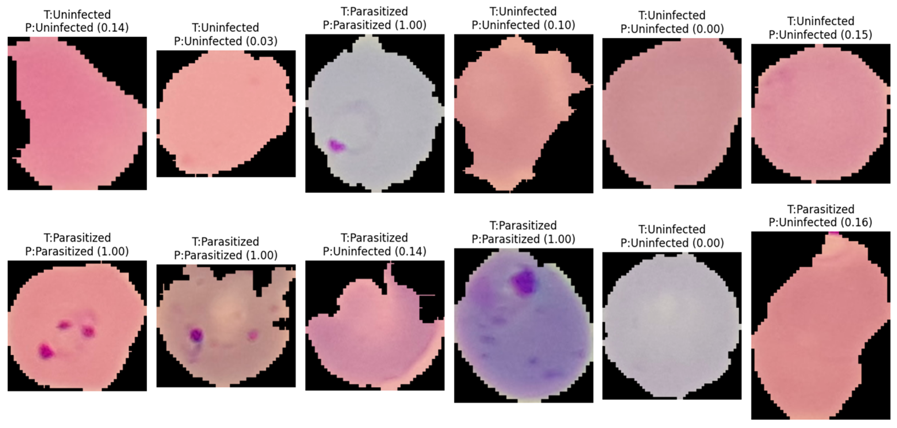 Jimaging 12 00127 g005