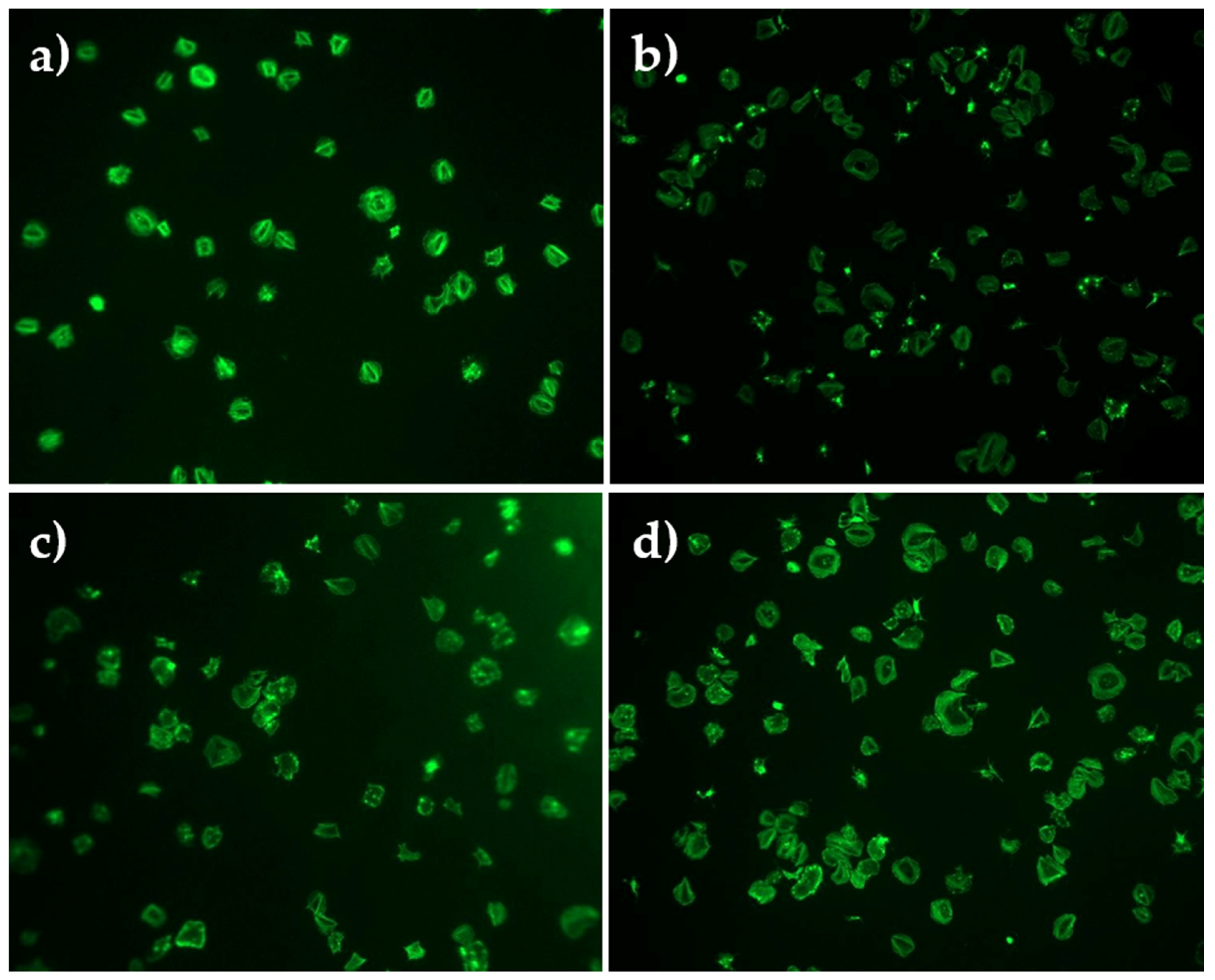 Plt Models Automated Platelet Classification Under Different Solvent Conditions ...