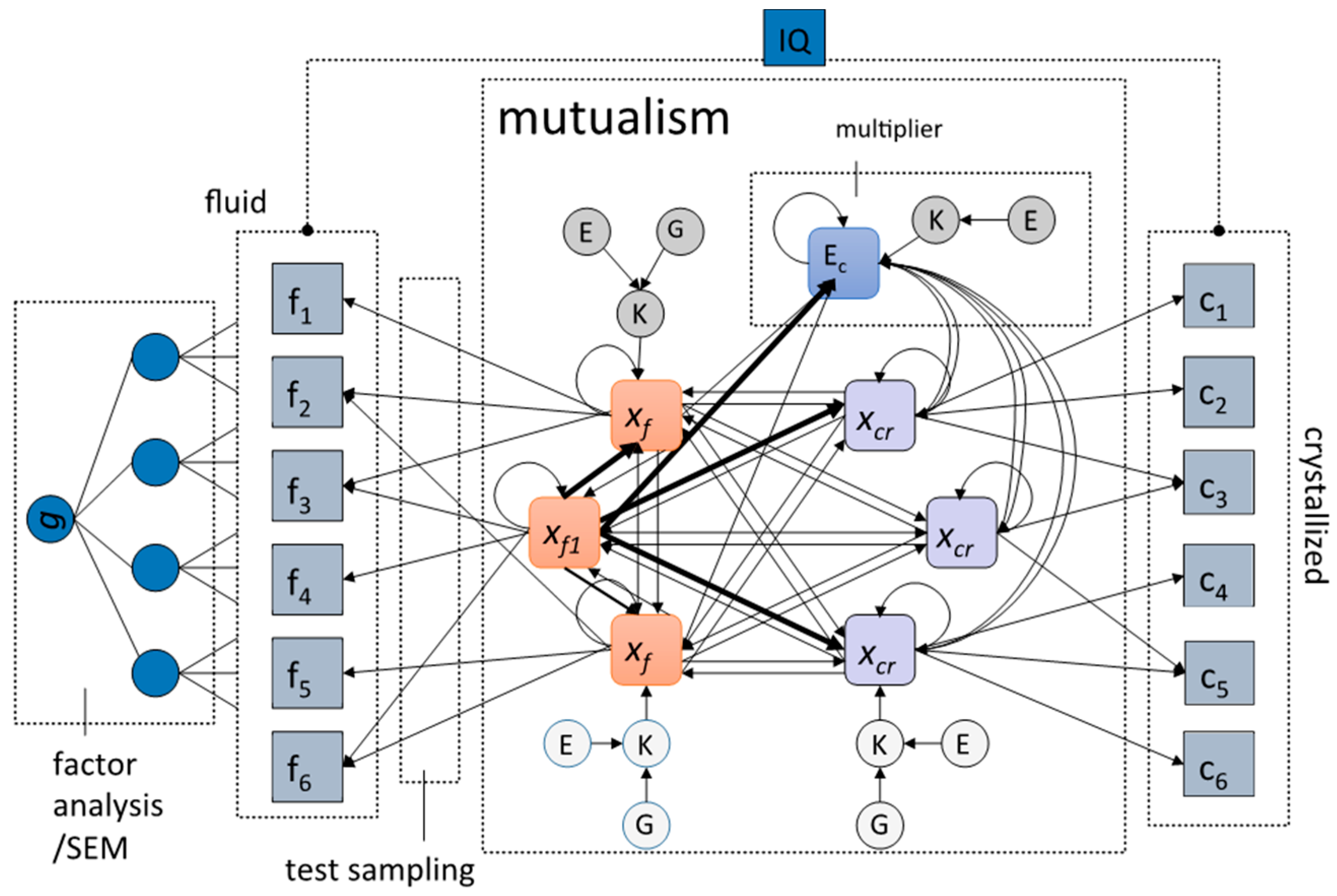 Jintelligence 05 00016 g002