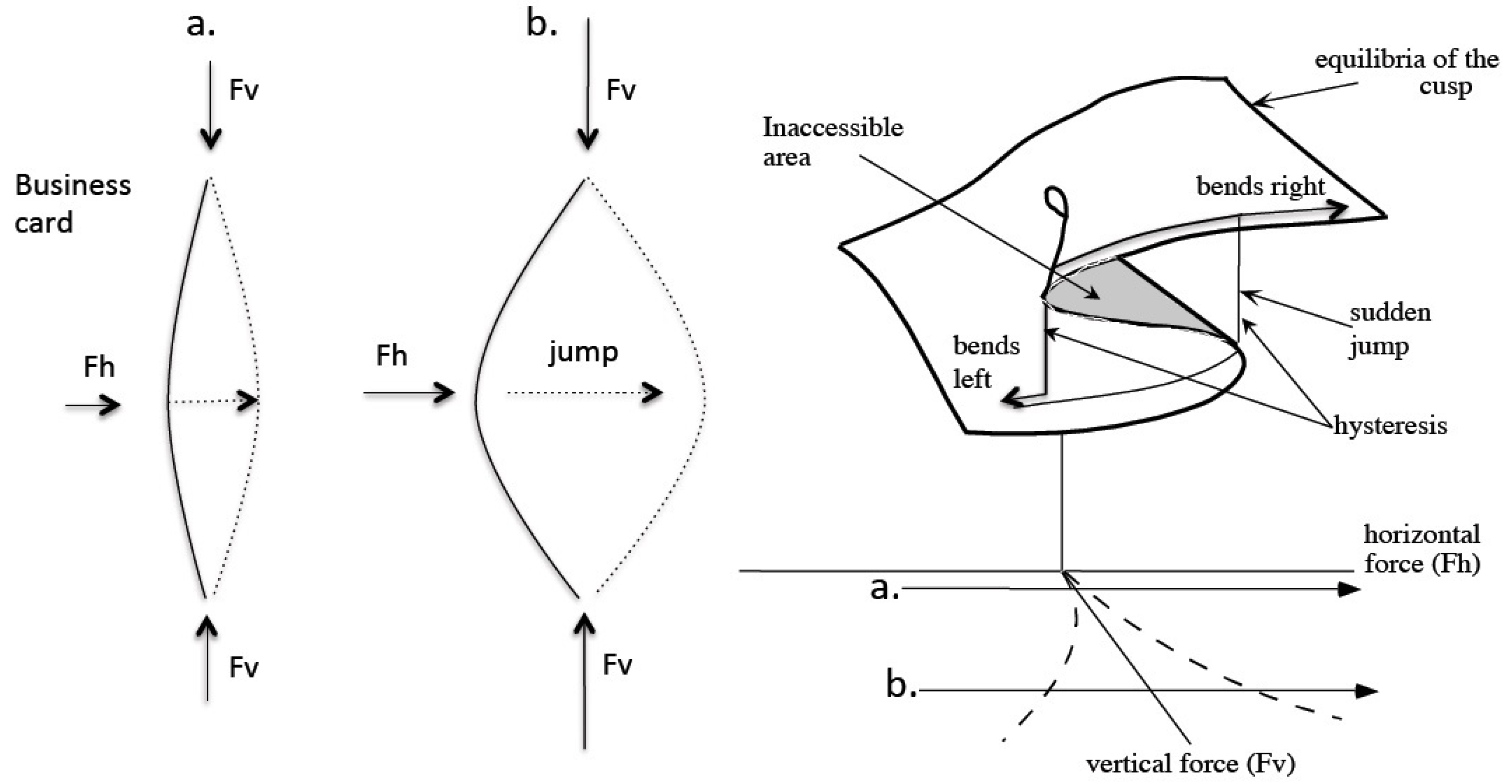 Jintelligence 05 00016 g006