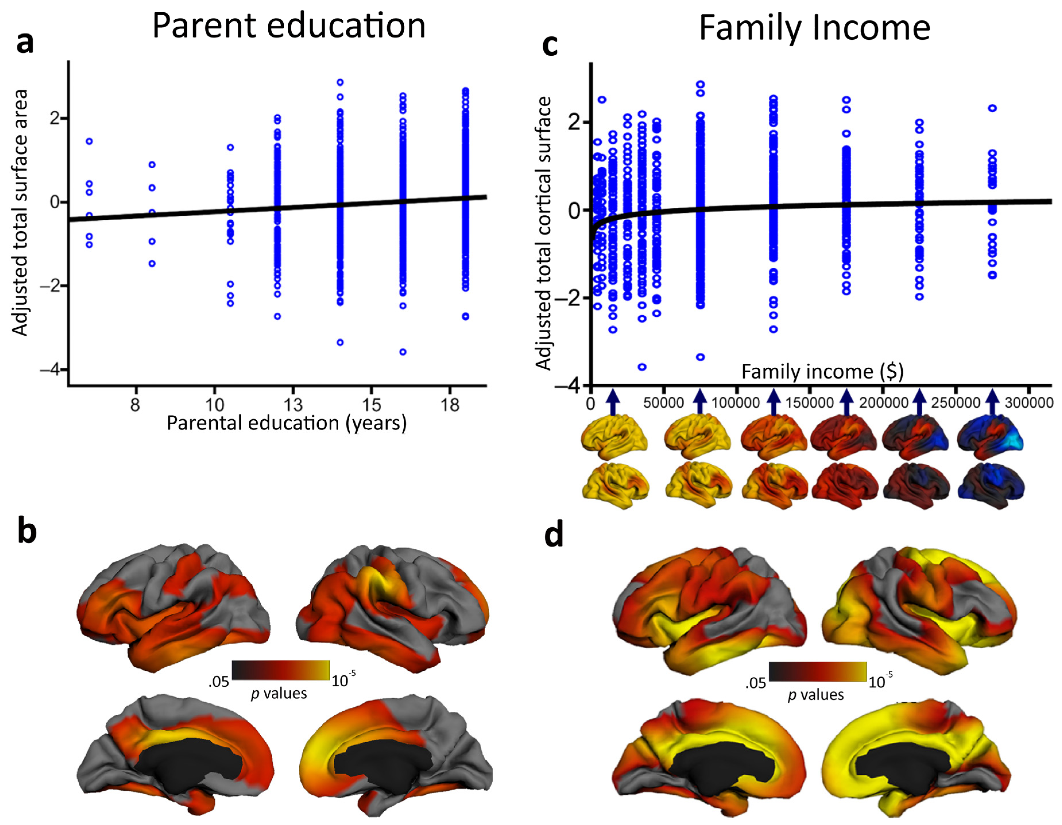 Jintelligence 05 00018 g003