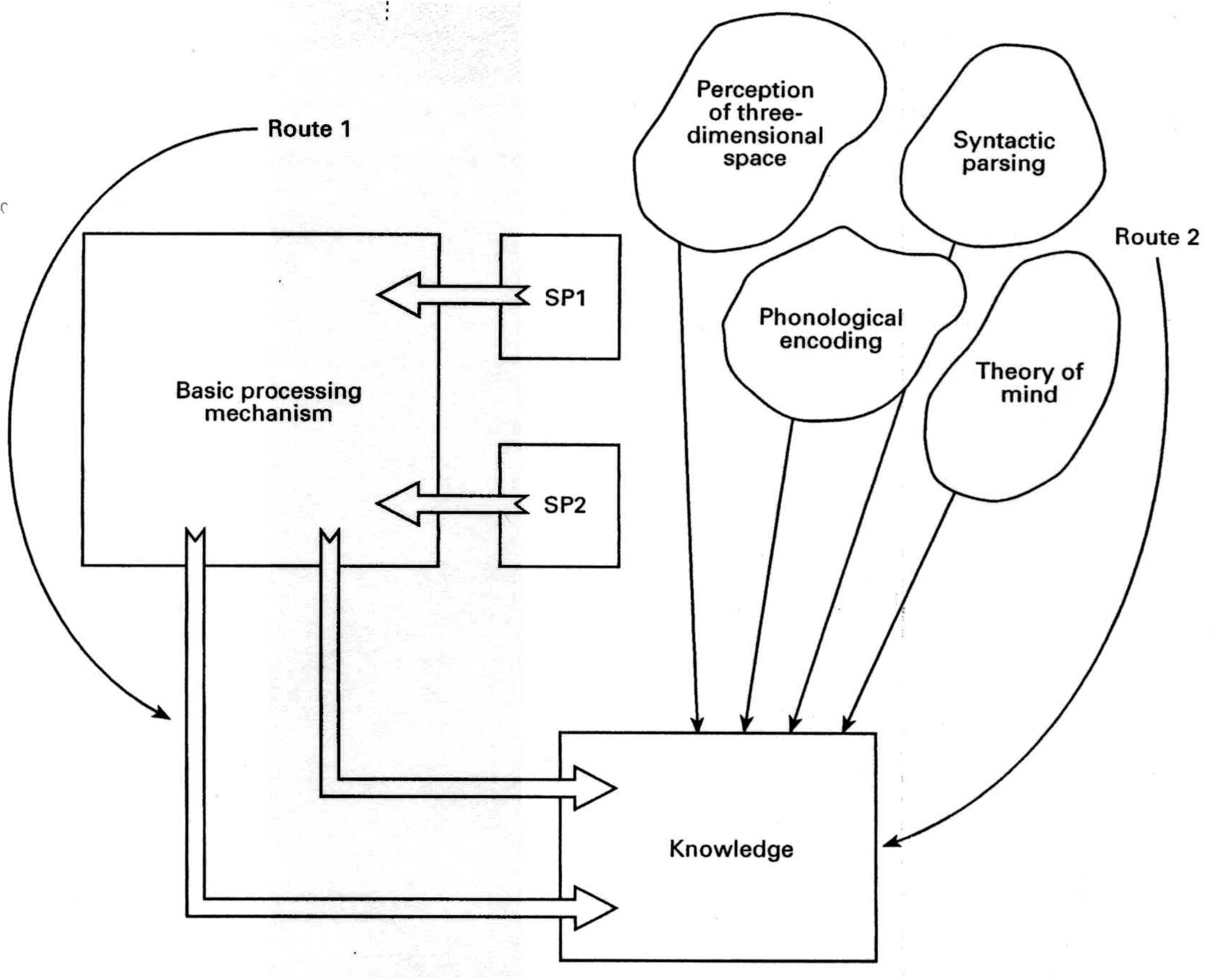 Jintelligence 05 00024 g001