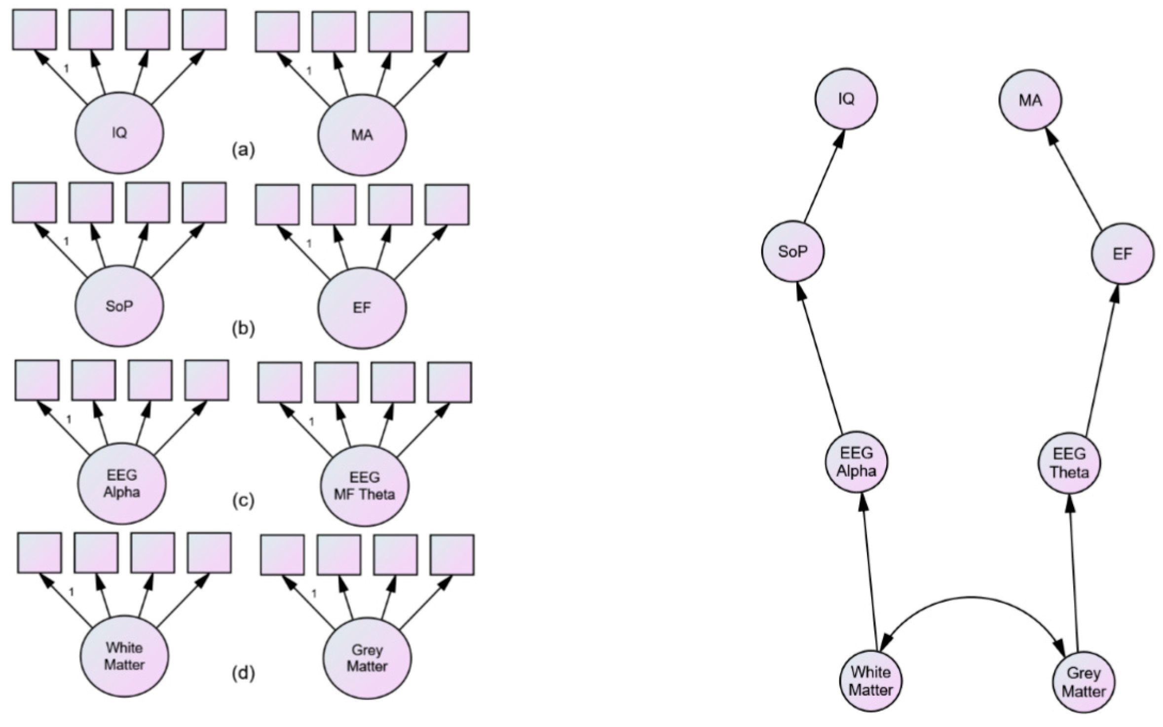 Jintelligence 05 00024 g002