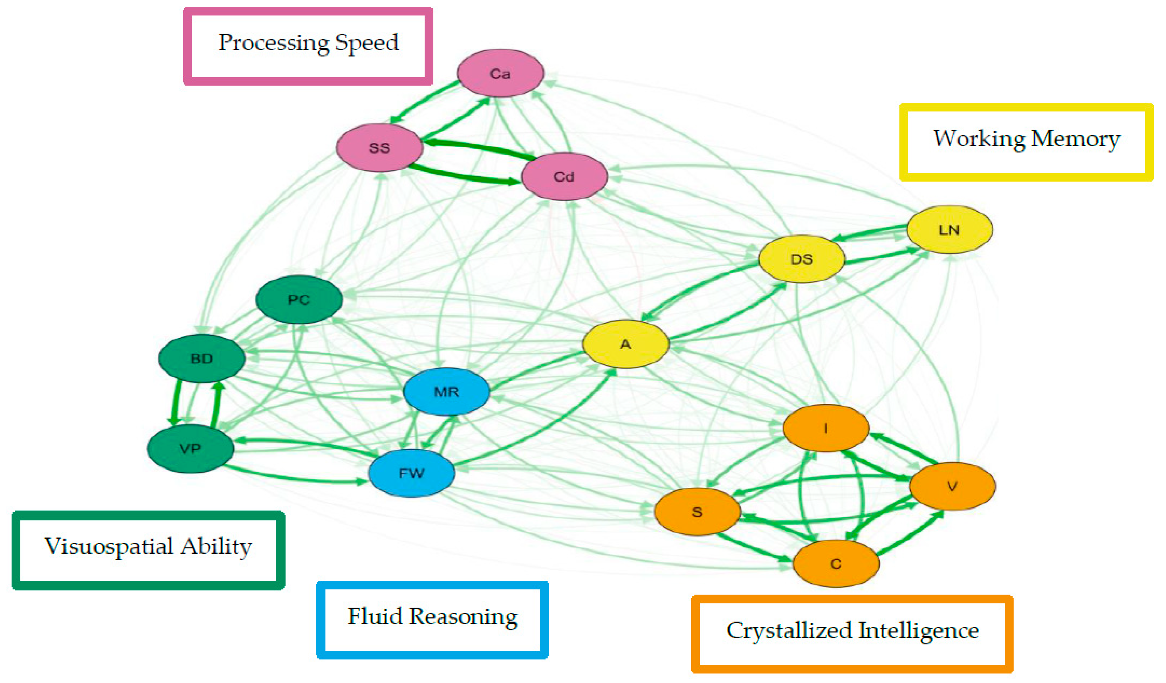 Jintelligence 07 00021 g004