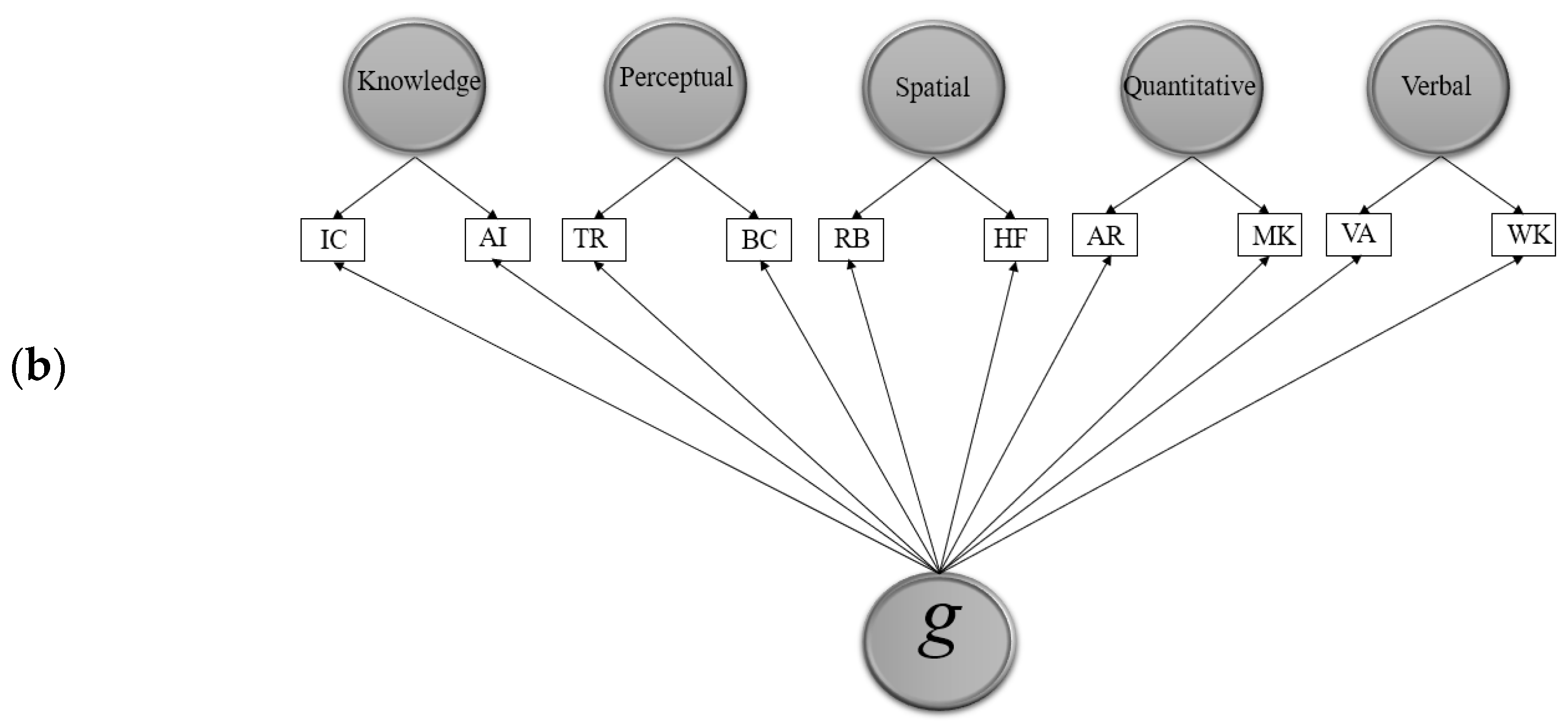 Jintelligence 09 00040 g001b