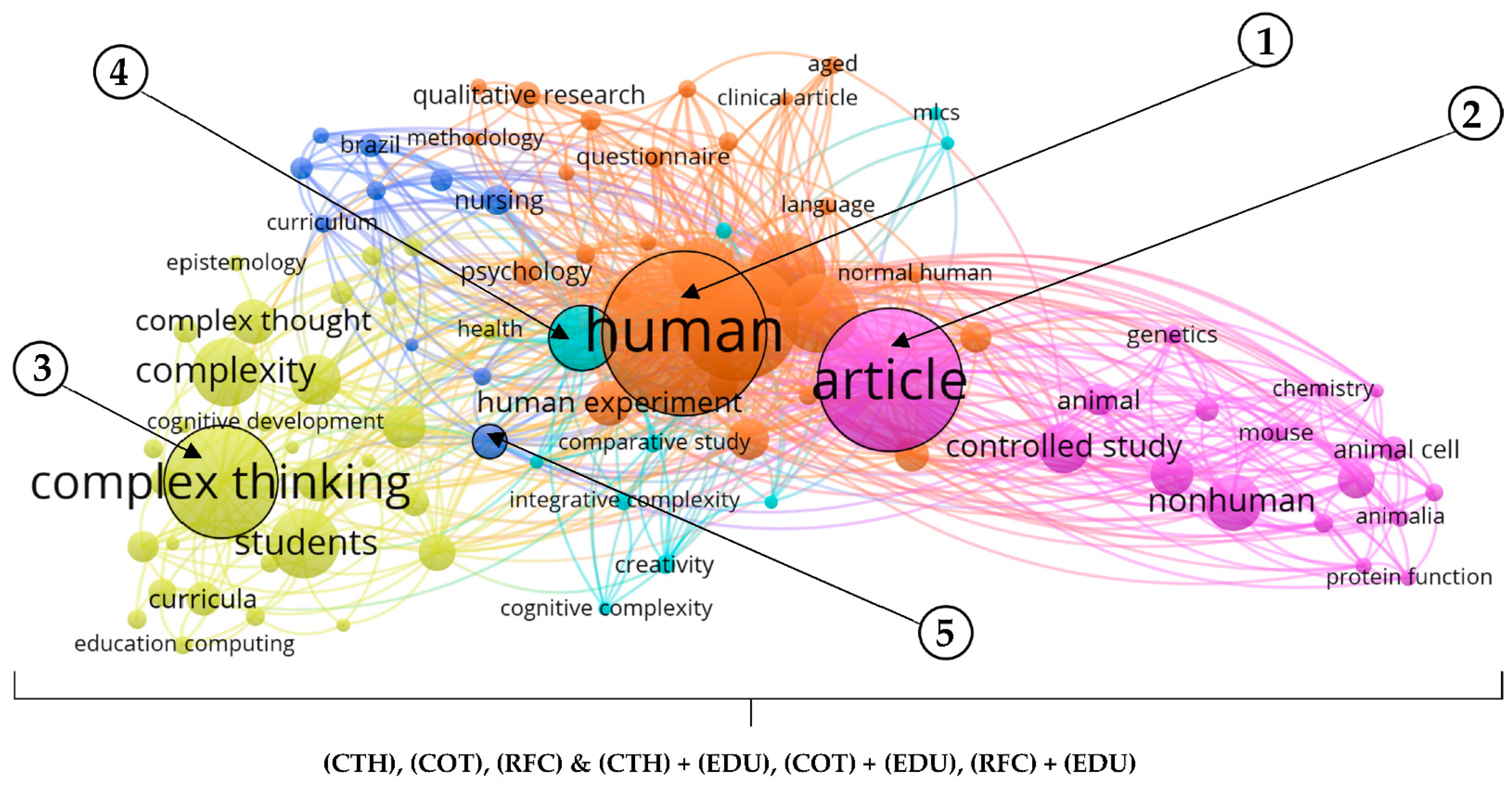 Jintelligence 10 00037 g006 Jintelligence 10 00037 g006