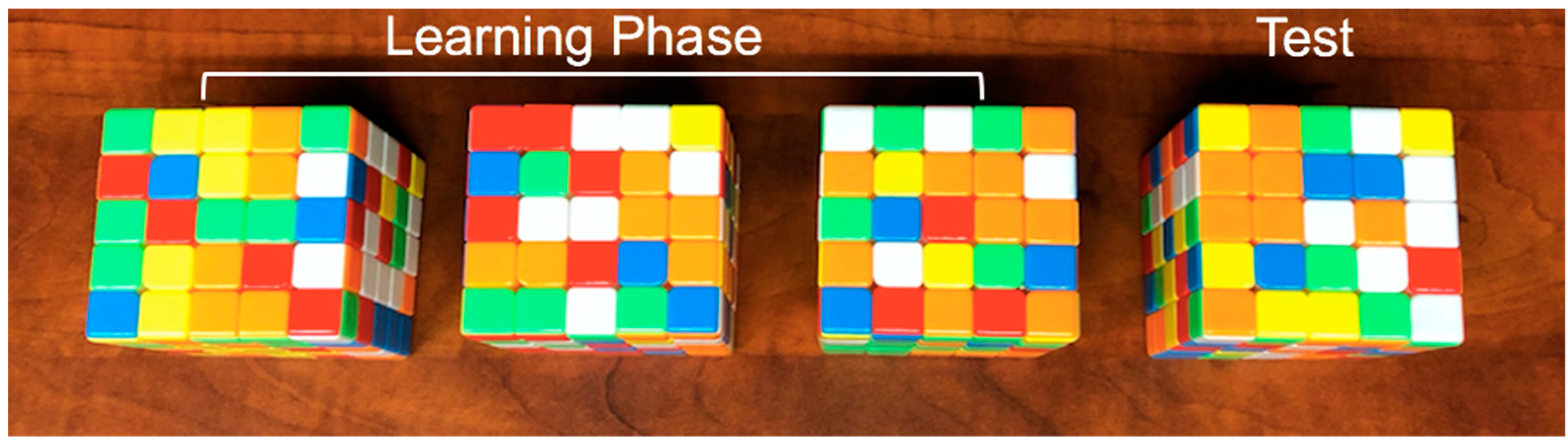 Jintelligence 10 00085 g001