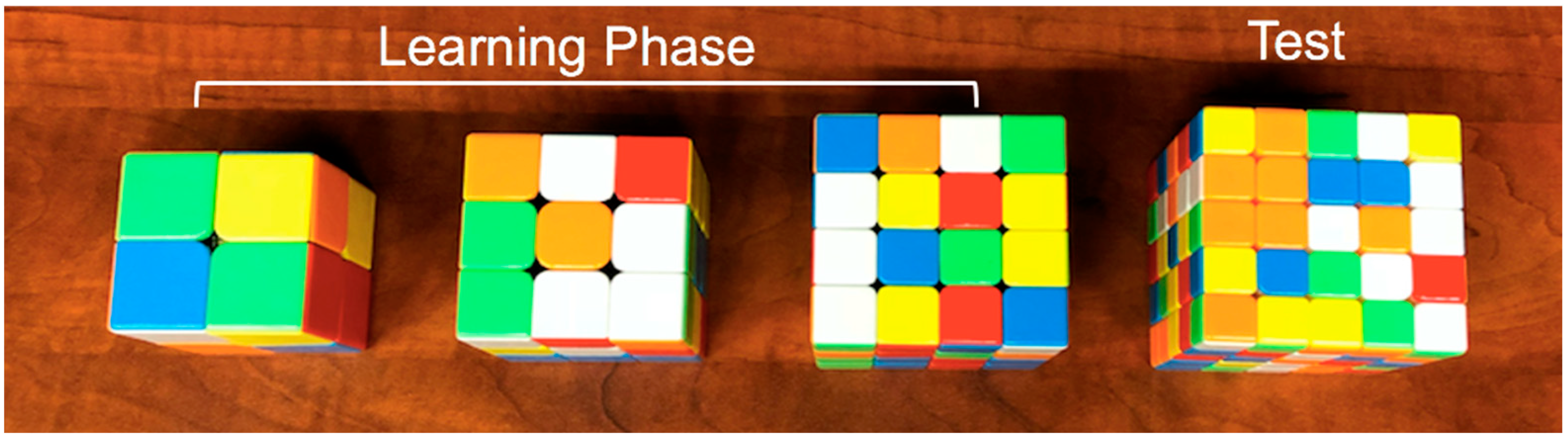 Jintelligence 10 00085 g002