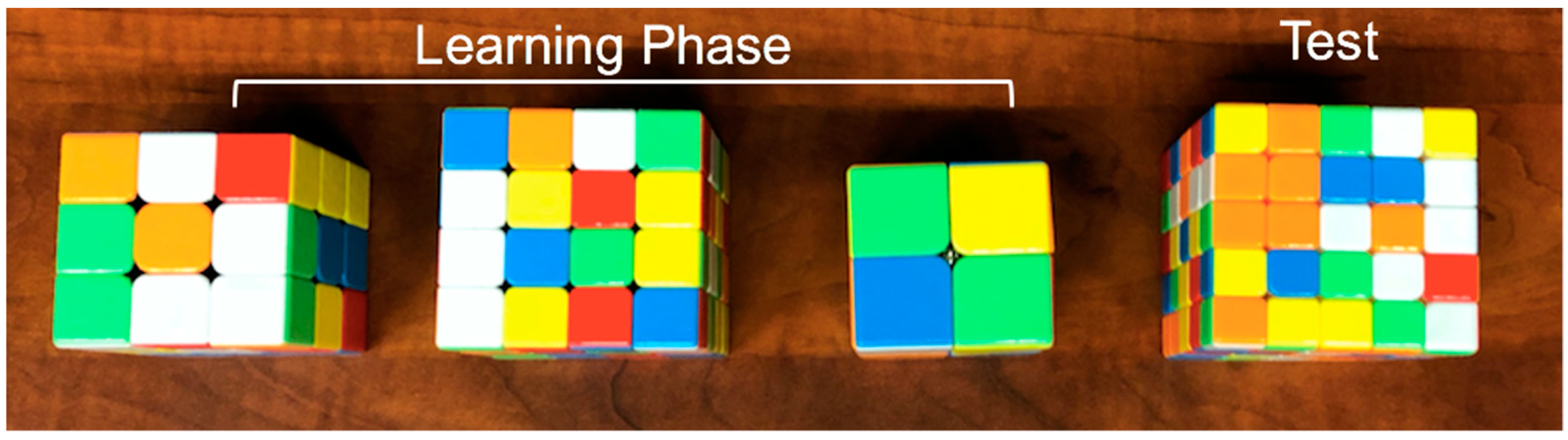 Jintelligence 10 00085 g003