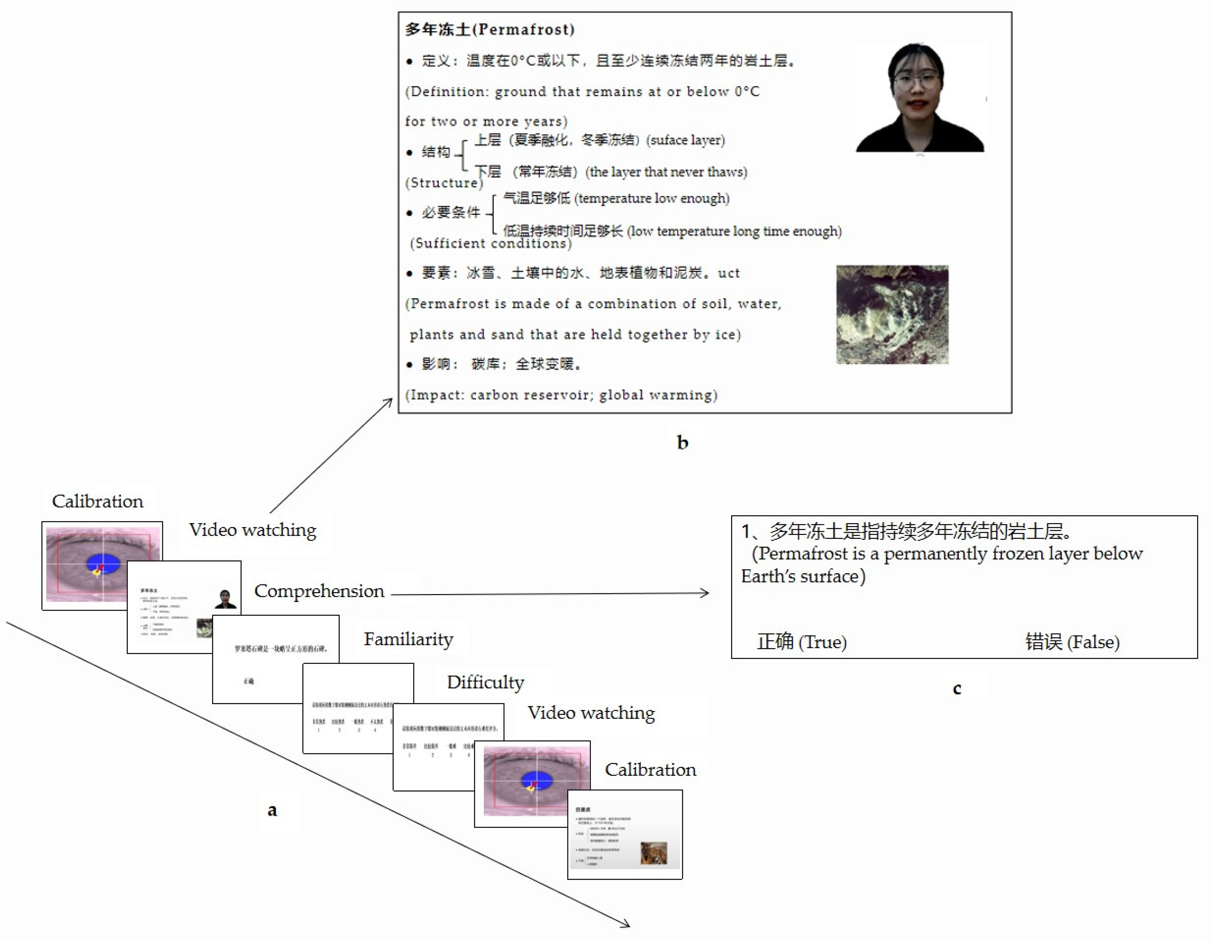 Jintelligence 11 00005 g001 Jintelligence 11 00005 g001