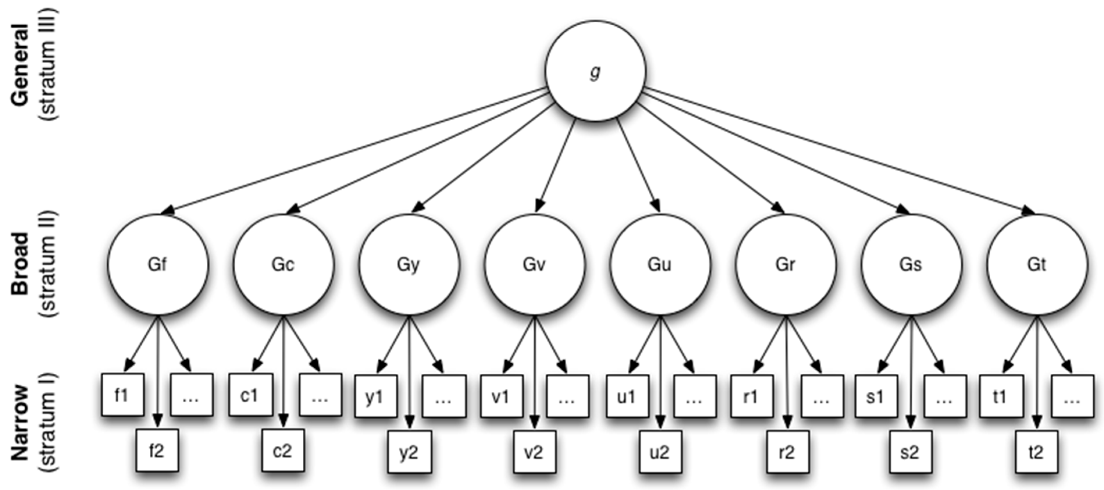 Jintelligence 11 00044 g001