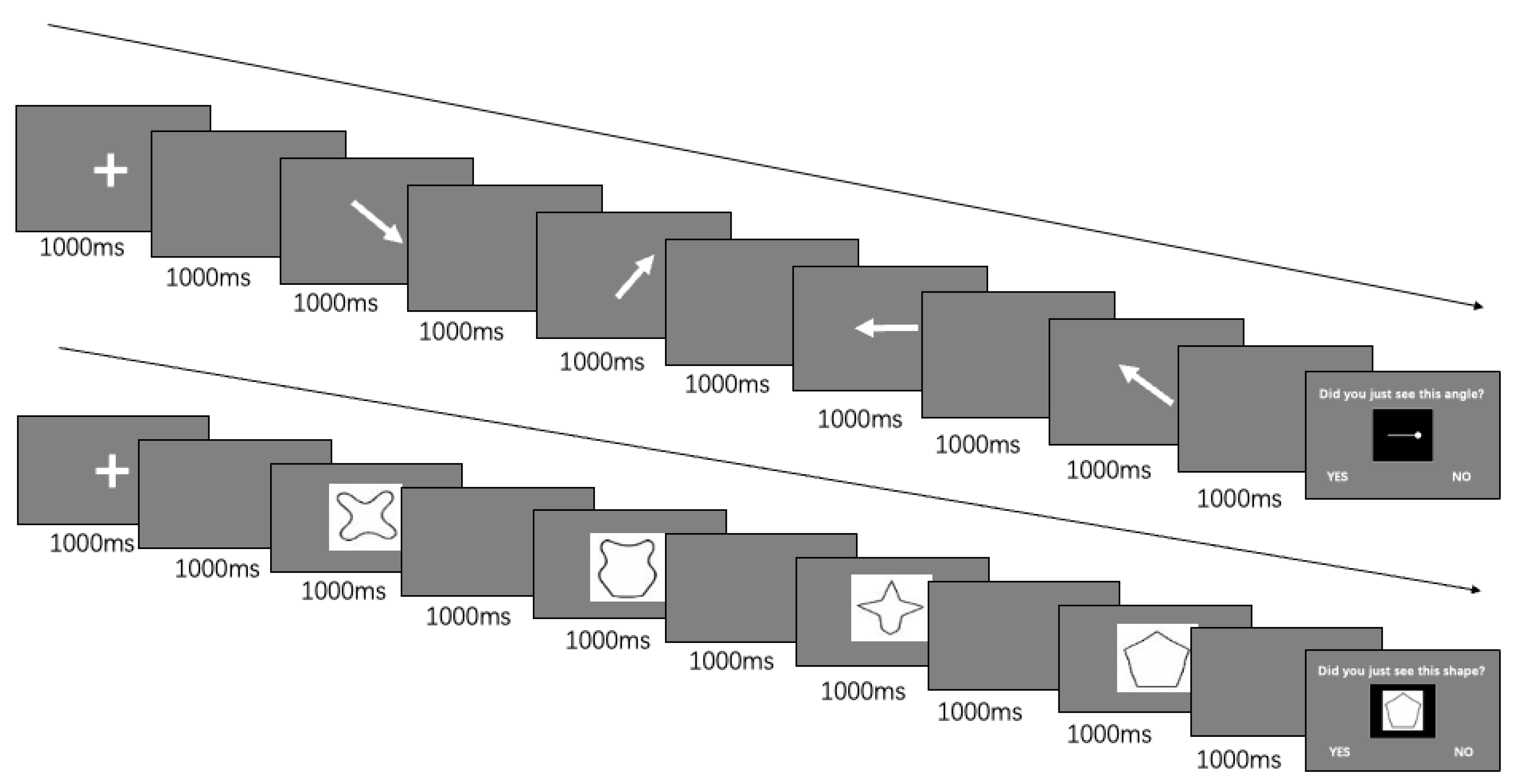 Jintelligence 11 00056 g001 Jintelligence 11 00056 g001
