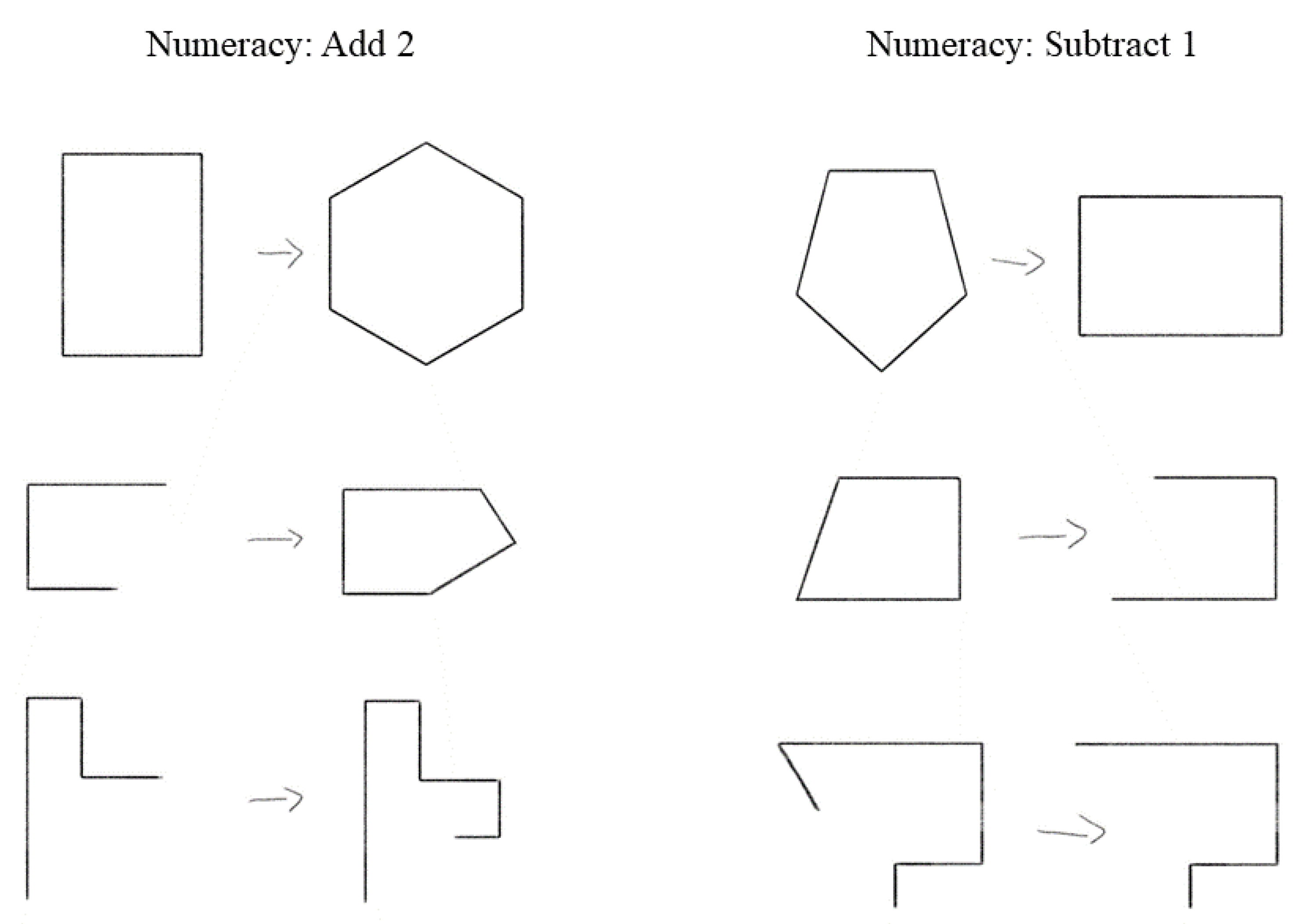 Jintelligence 11 00077 g004 Jintelligence 11 00077 g004
