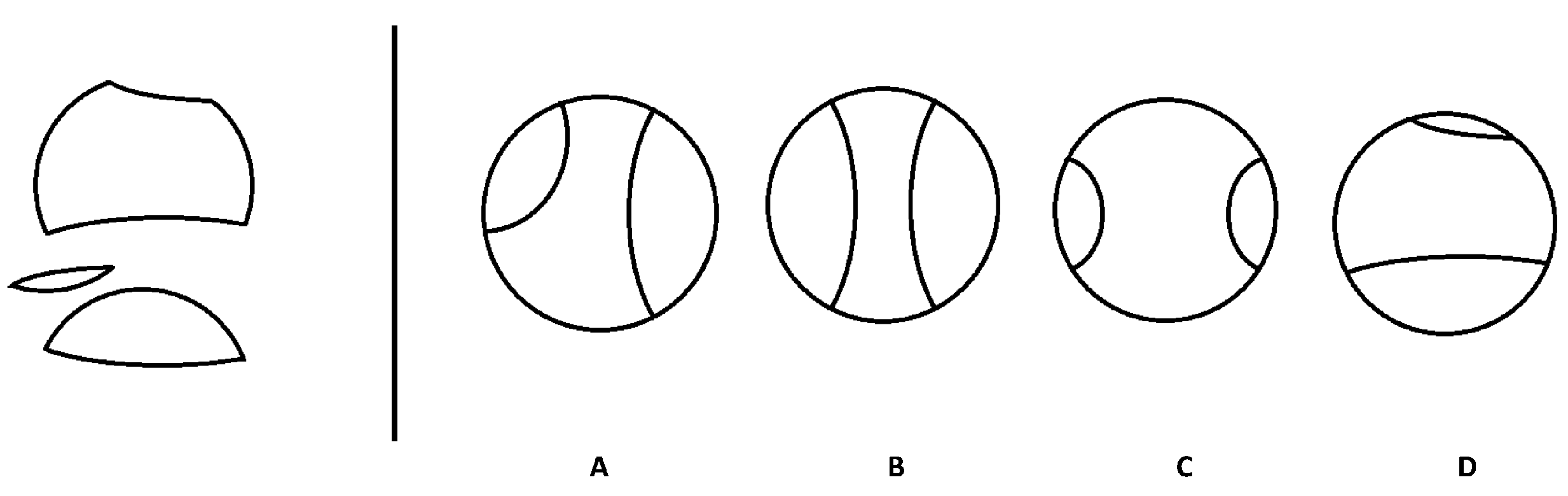 Jintelligence 11 00152 g001