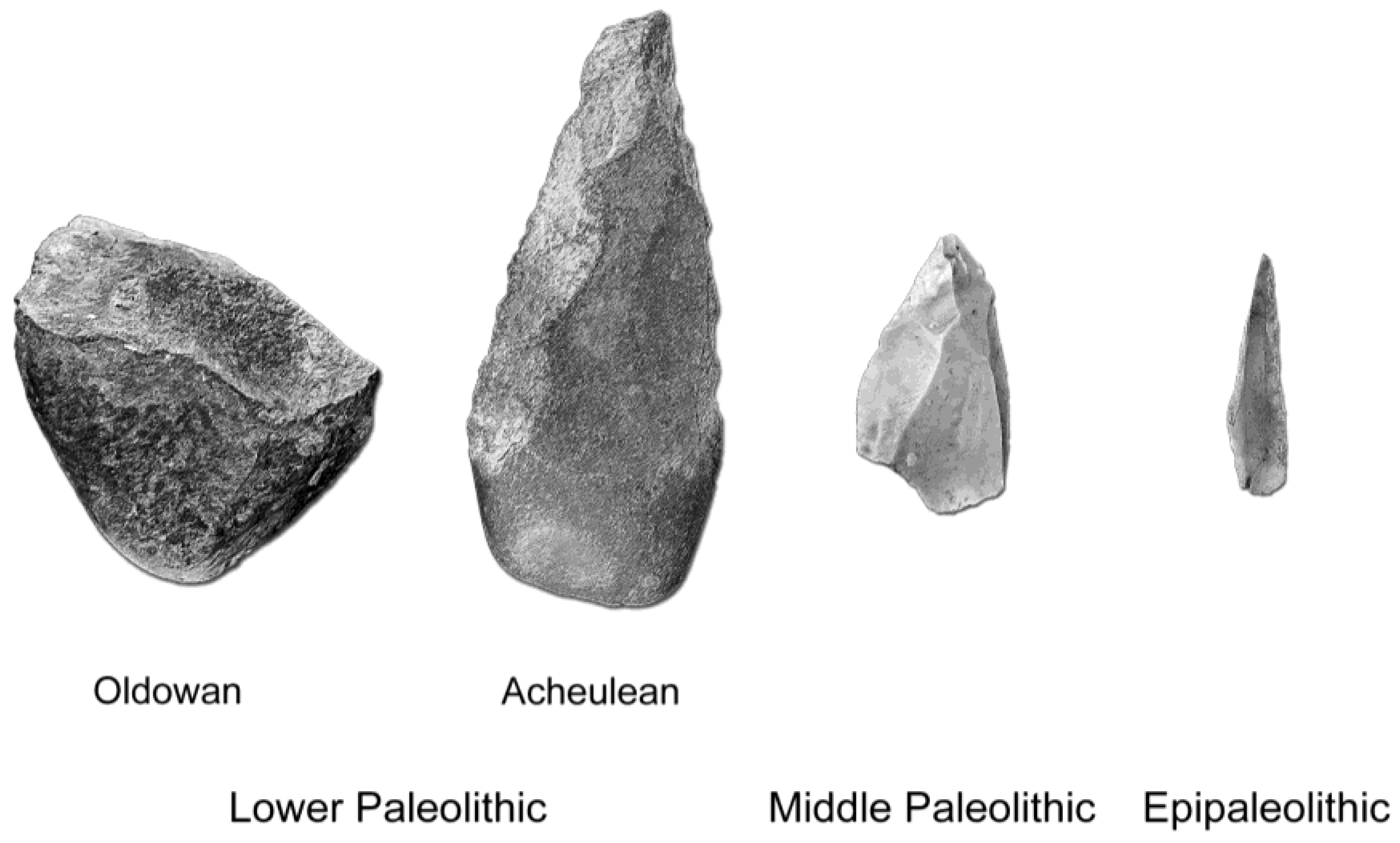 Jintelligence 11 00183 g002