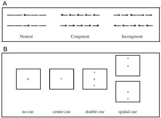 Jintelligence 12 00019 g001