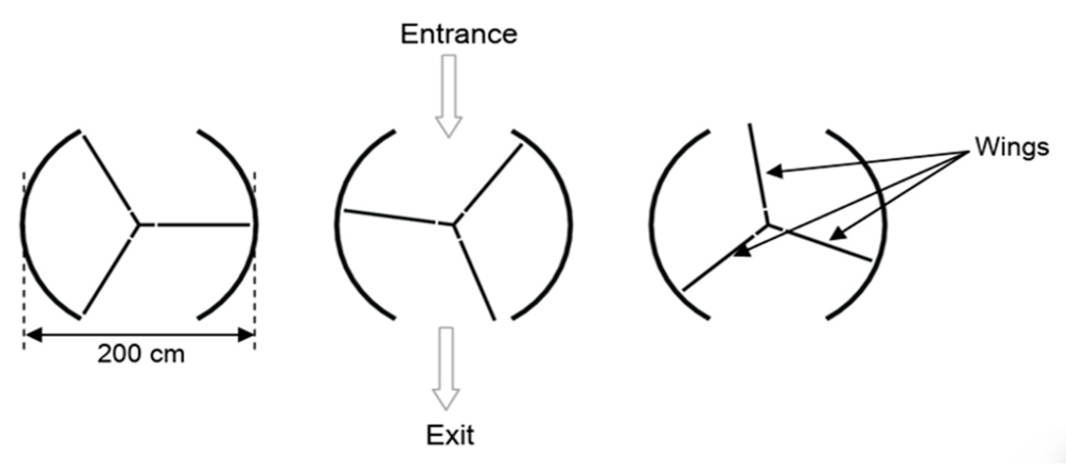 Jintelligence 12 00055 i001