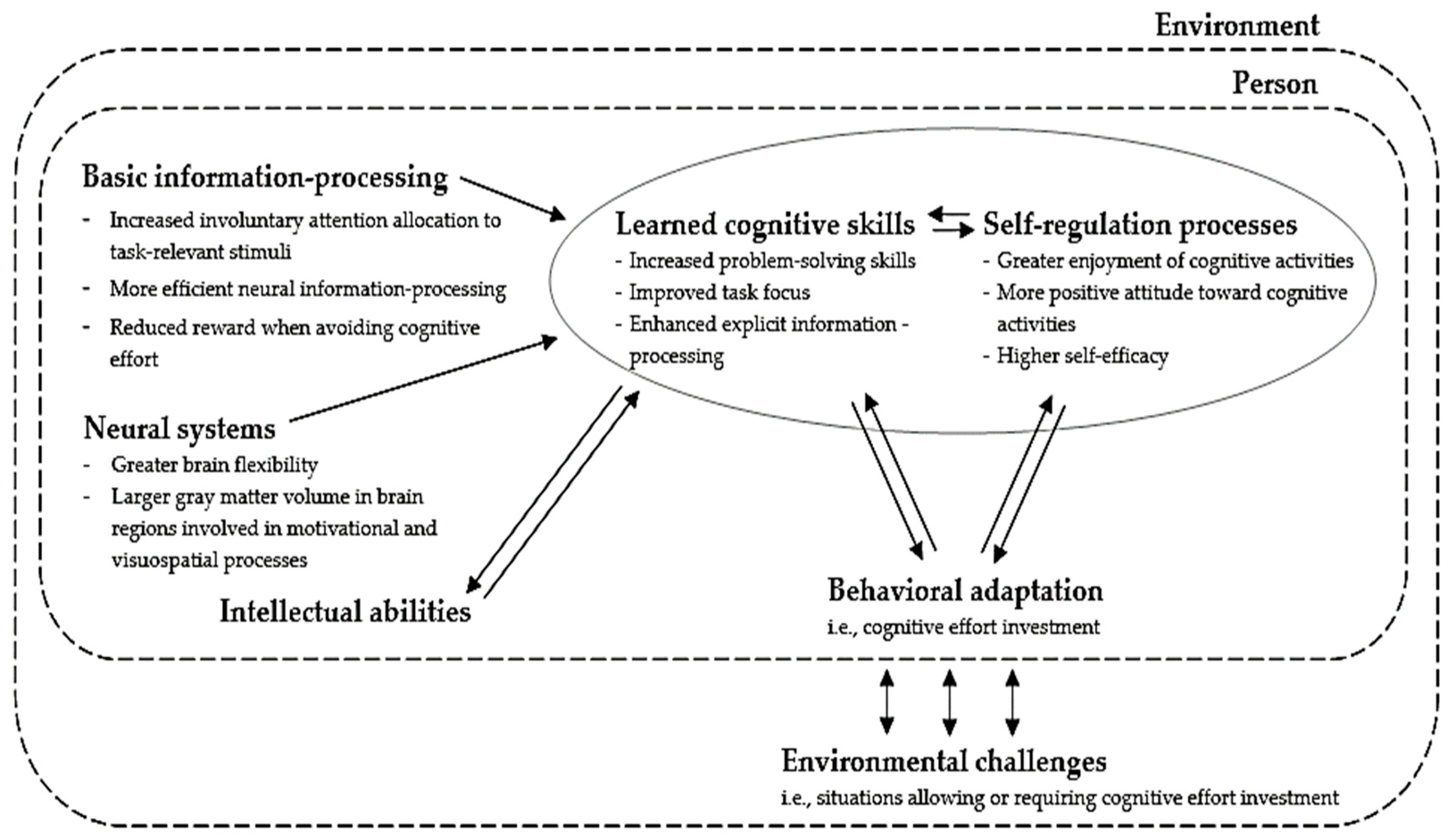 Jintelligence 12 00099 g001