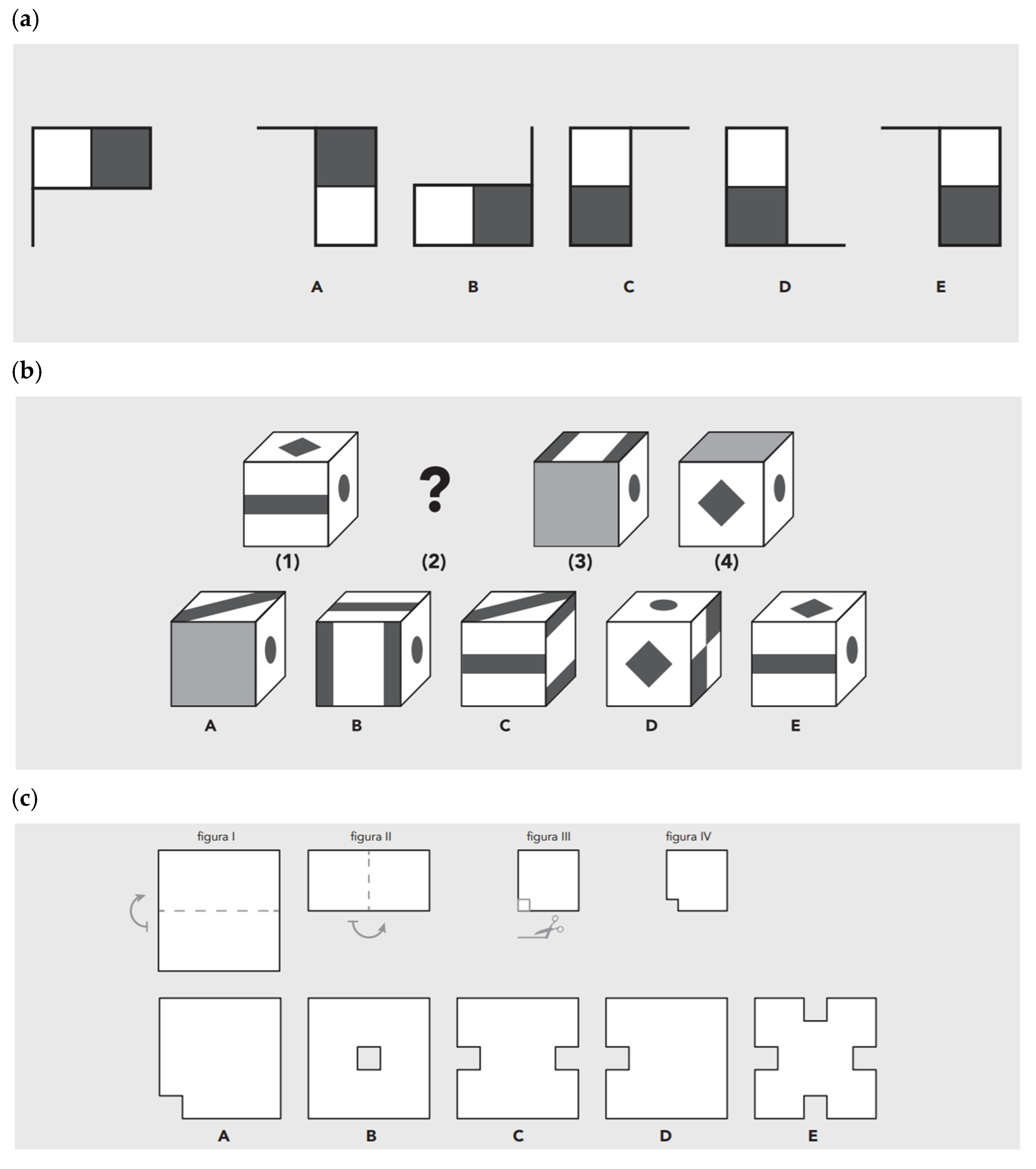 Jintelligence 13 00021 g001a