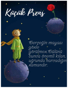 Jintelligence 13 00074 i004