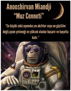 Jintelligence 13 00074 i008