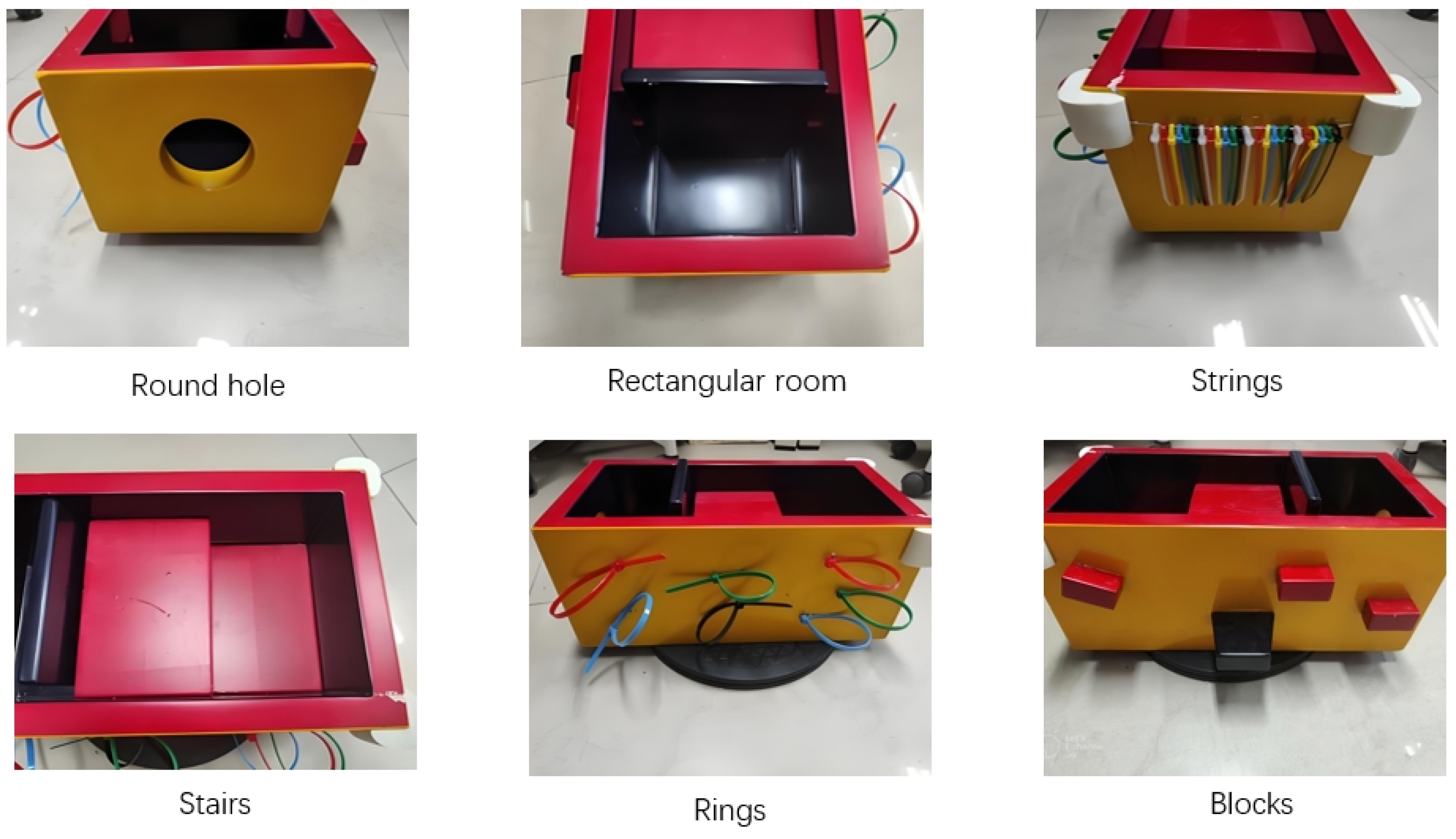 Jintelligence 13 00075 g001