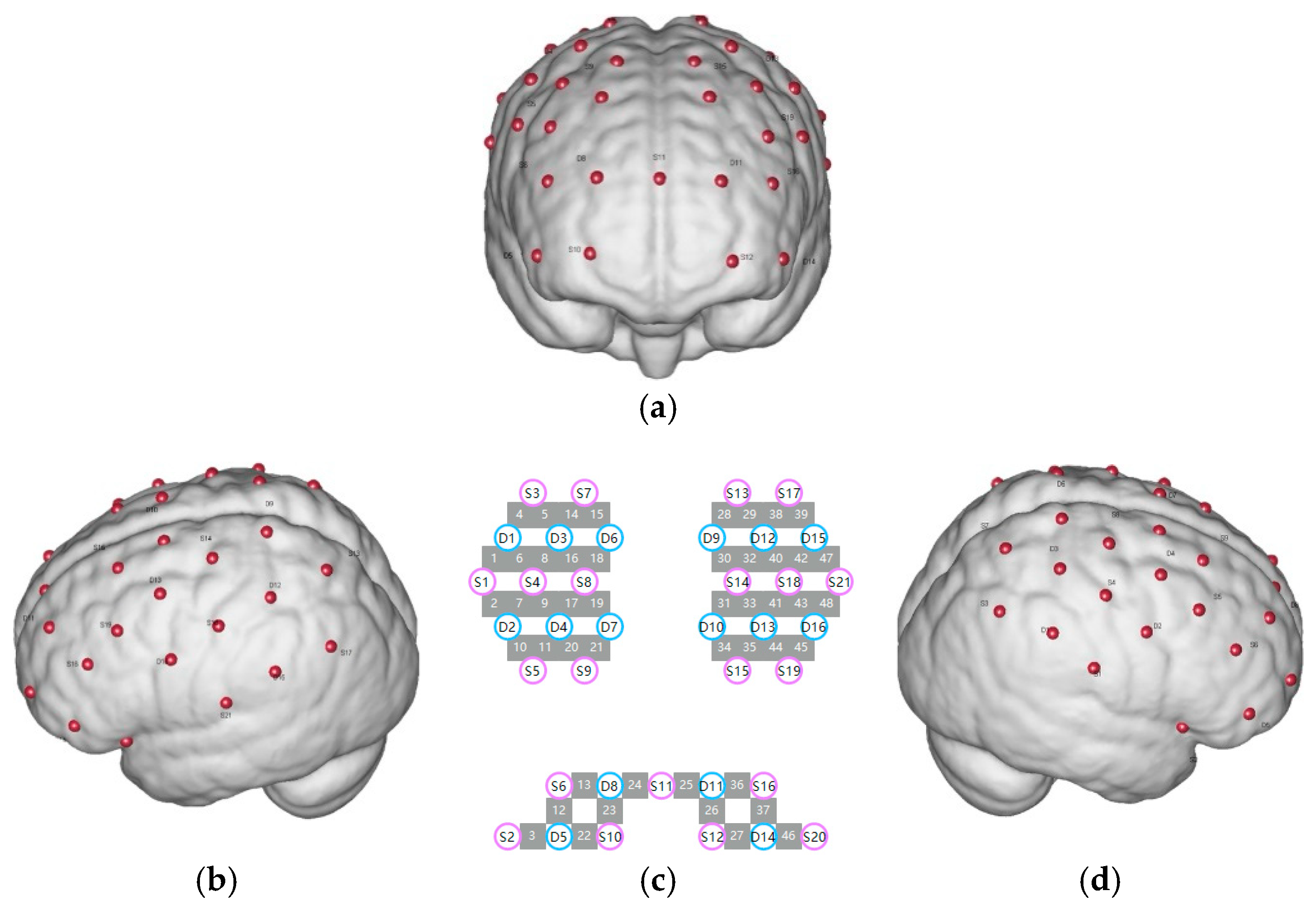 Jintelligence 13 00083 g003