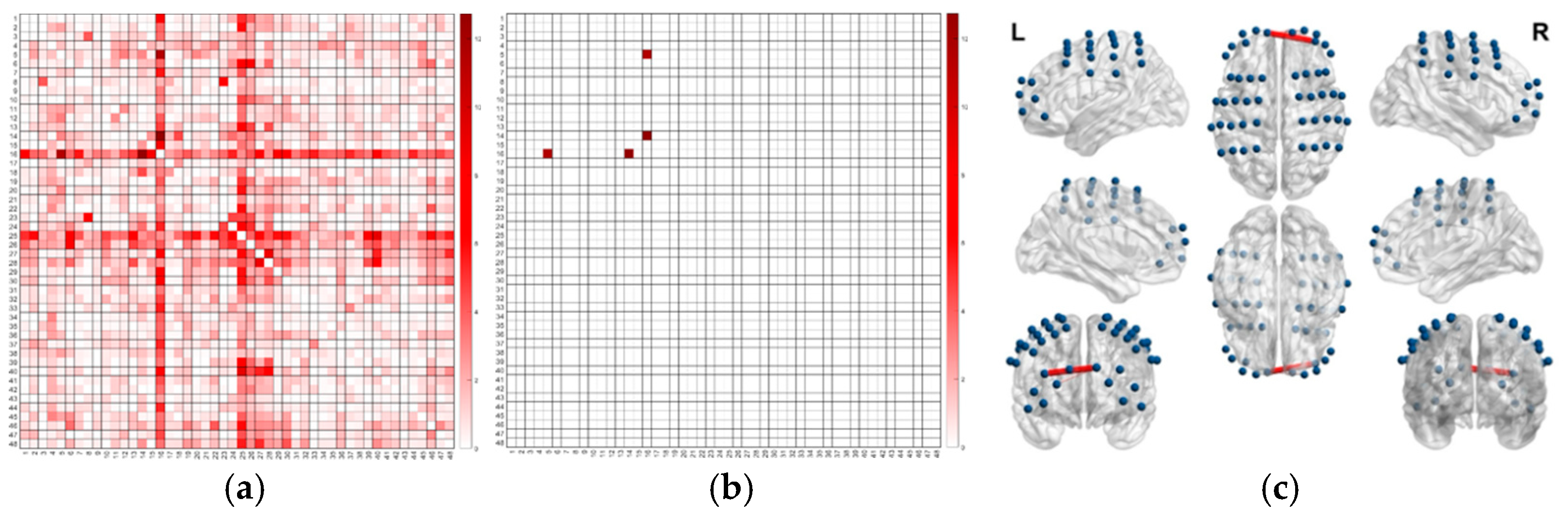 Jintelligence 13 00083 g010