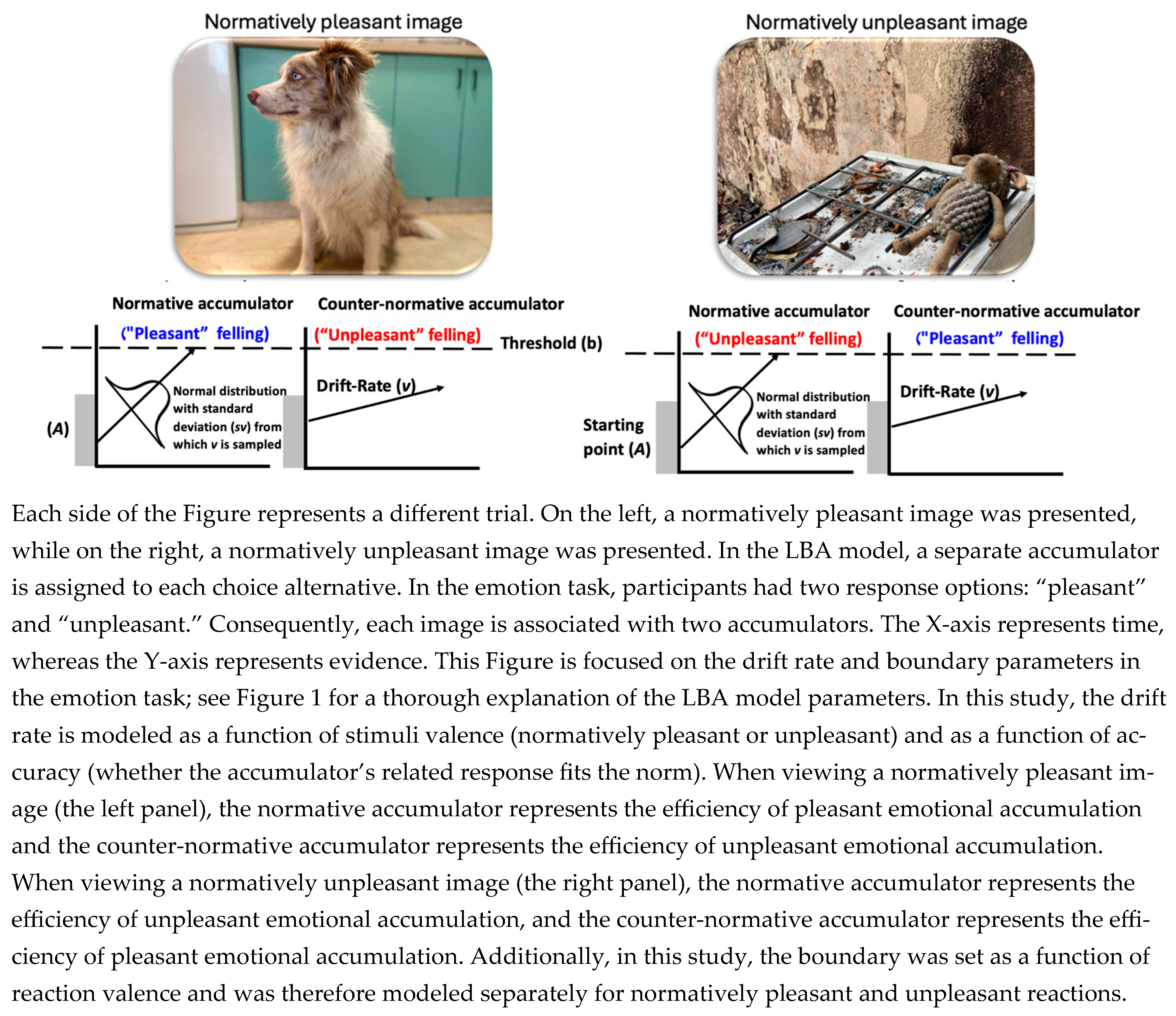 Jintelligence 14 00019 g002 Jintelligence 14 00019 g002
