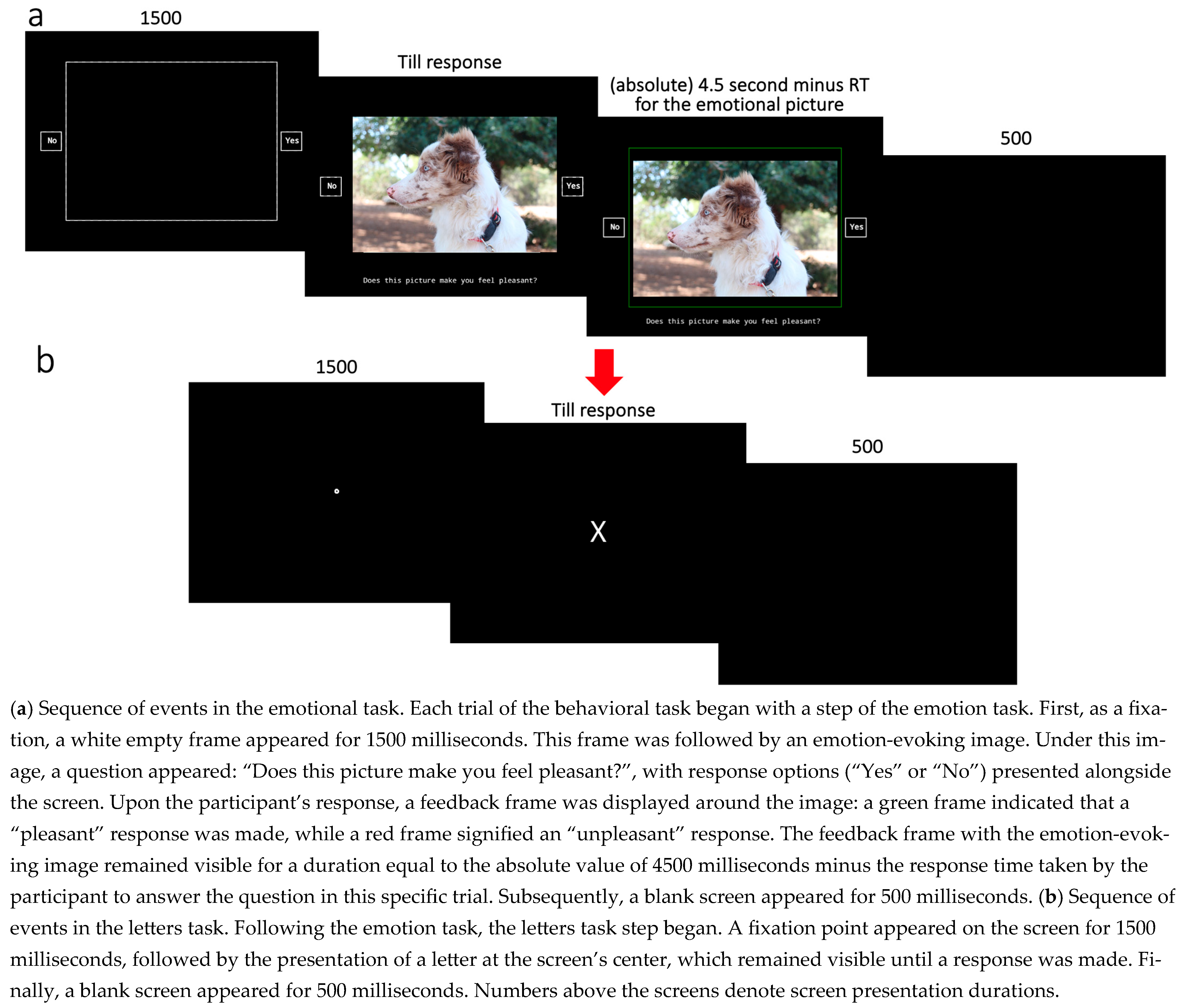Jintelligence 14 00019 g003 Jintelligence 14 00019 g003