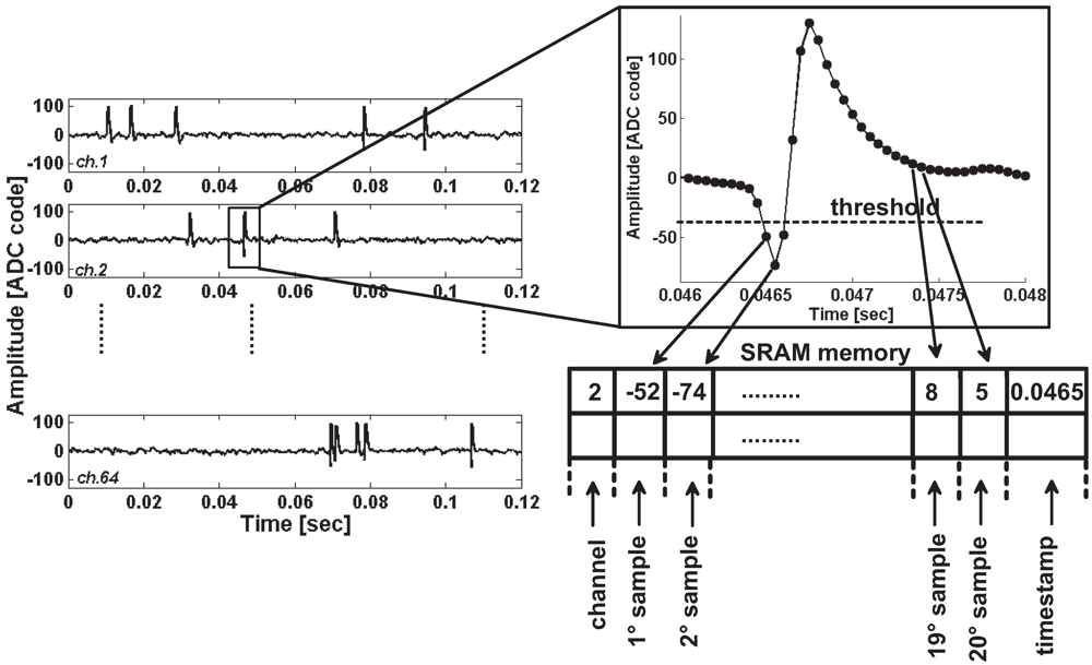 Jlpea 02 00211 g007 1024