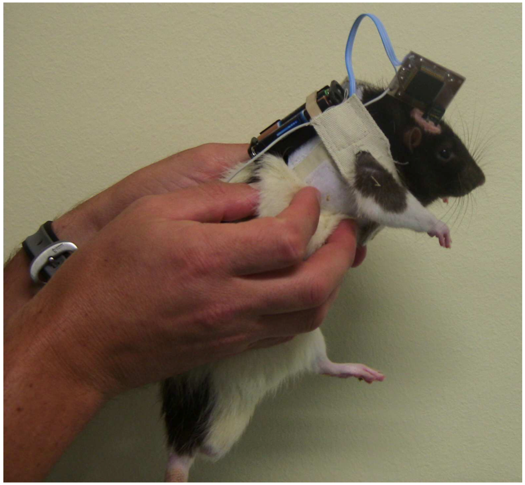 Jlpea 02 00211 g020 1024