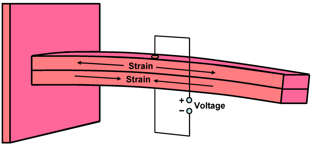 Jlpea 03 00194 g001 1024