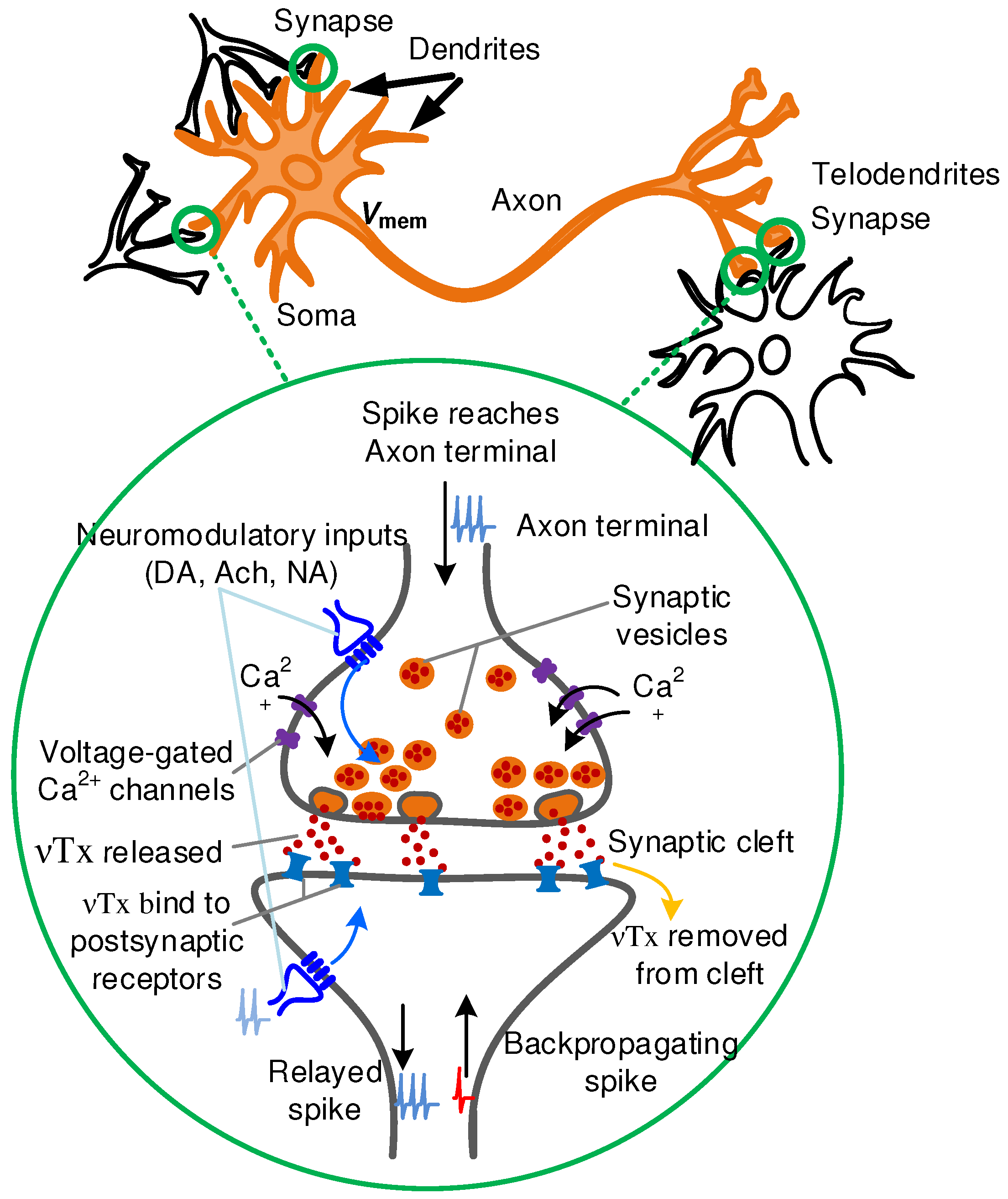 Jlpea 08 00034 g007 Jlpea 08 00034 g007