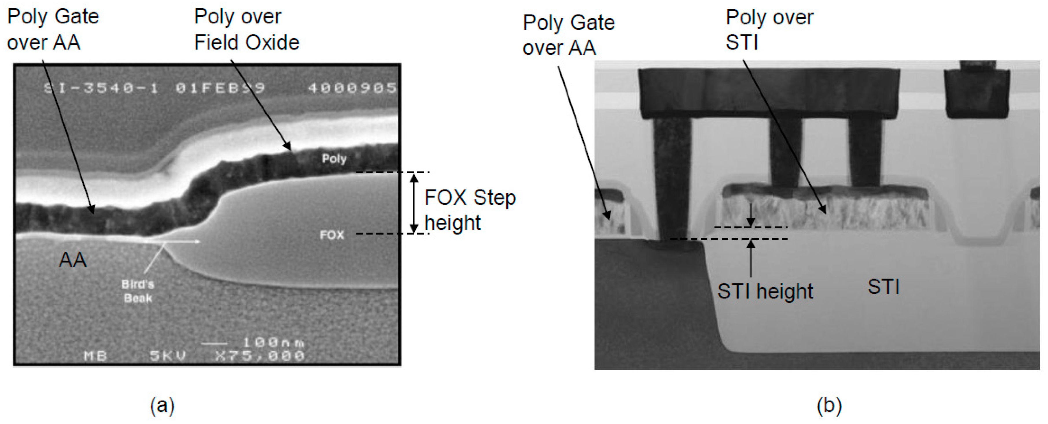 Jlpea 11 00002 g001 Jlpea 11 00002 g001