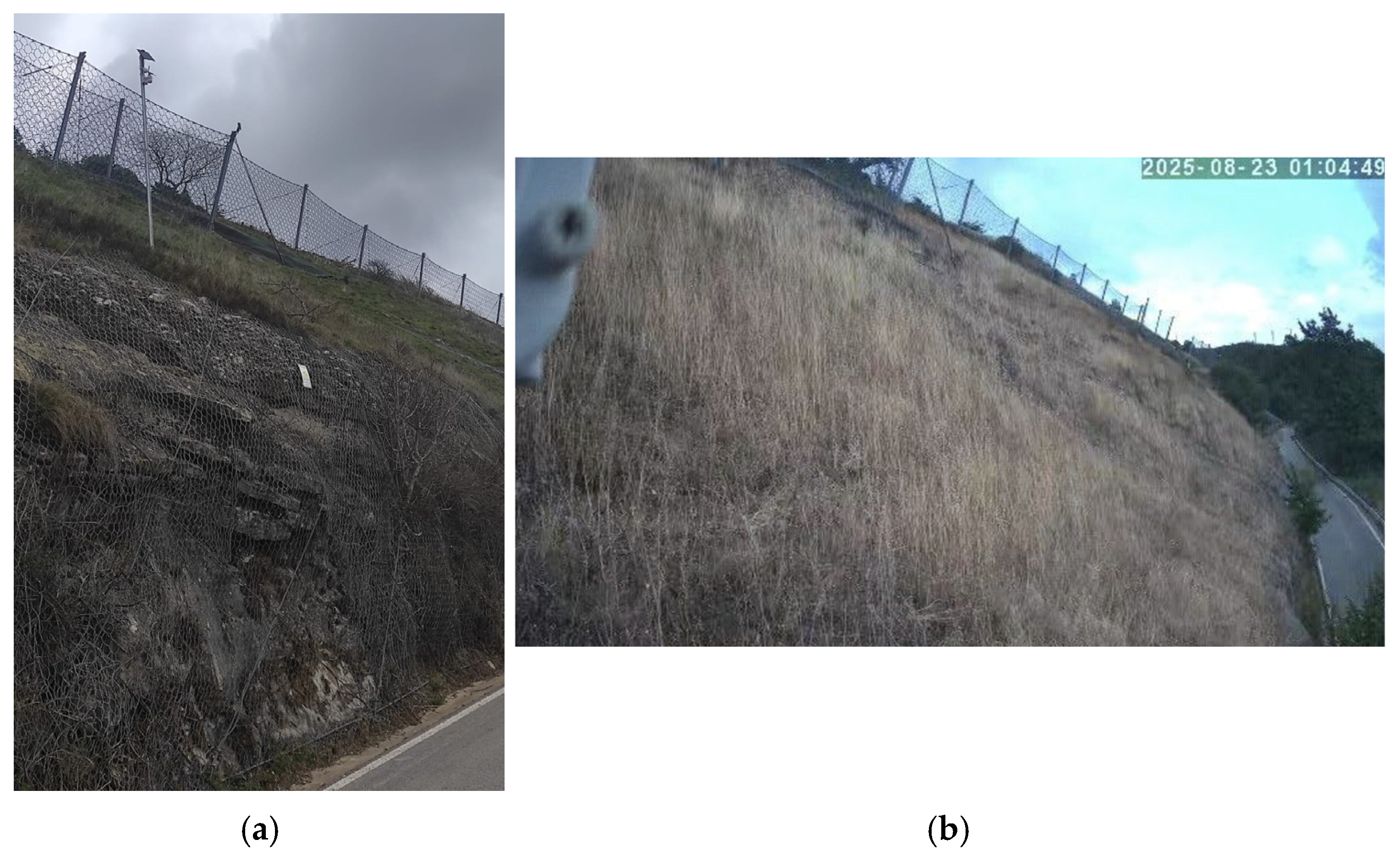 Jlpea 16 00007 g013 Jlpea 16 00007 g013