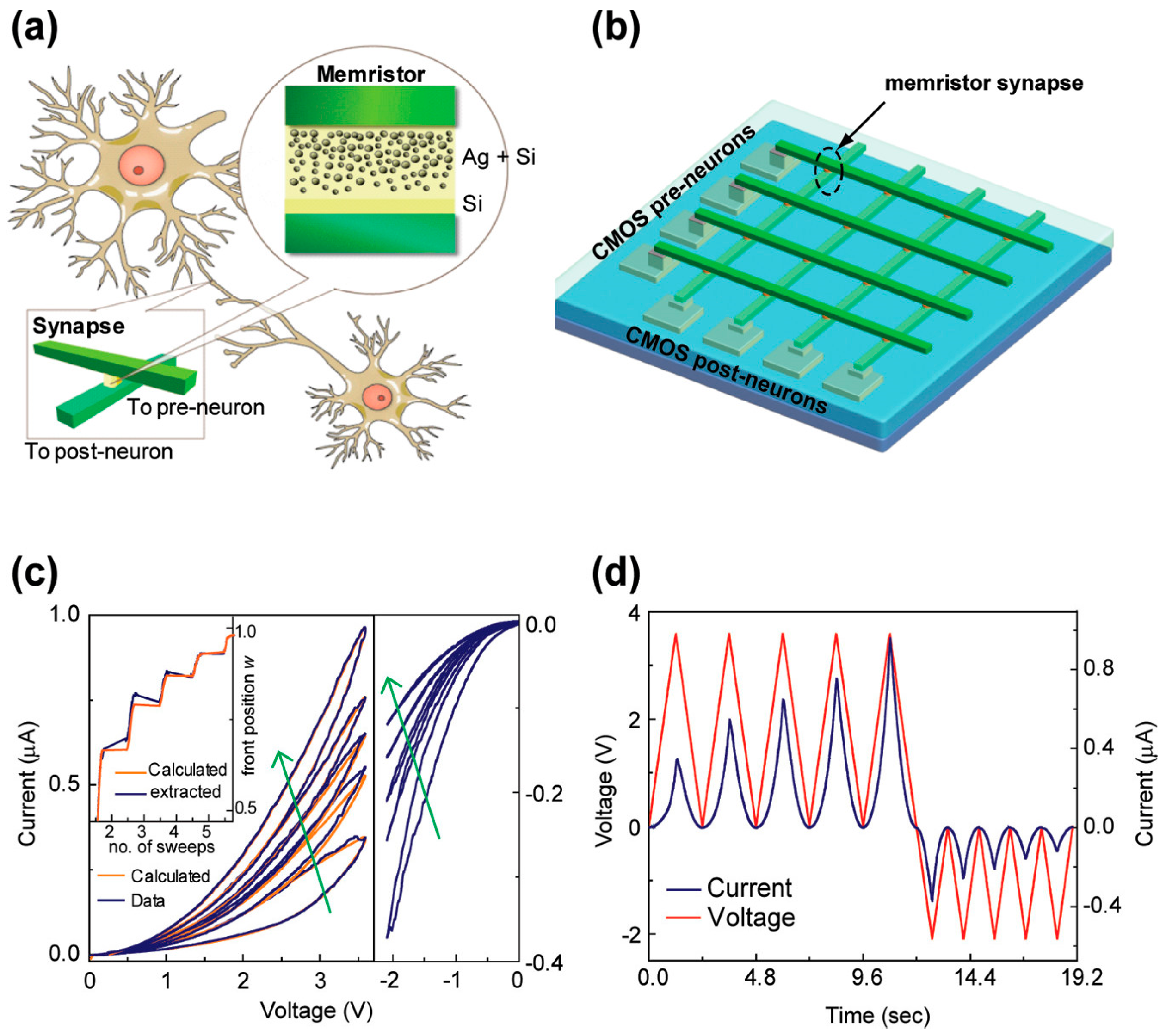 Jlpea 16 00008 g003 Jlpea 16 00008 g003