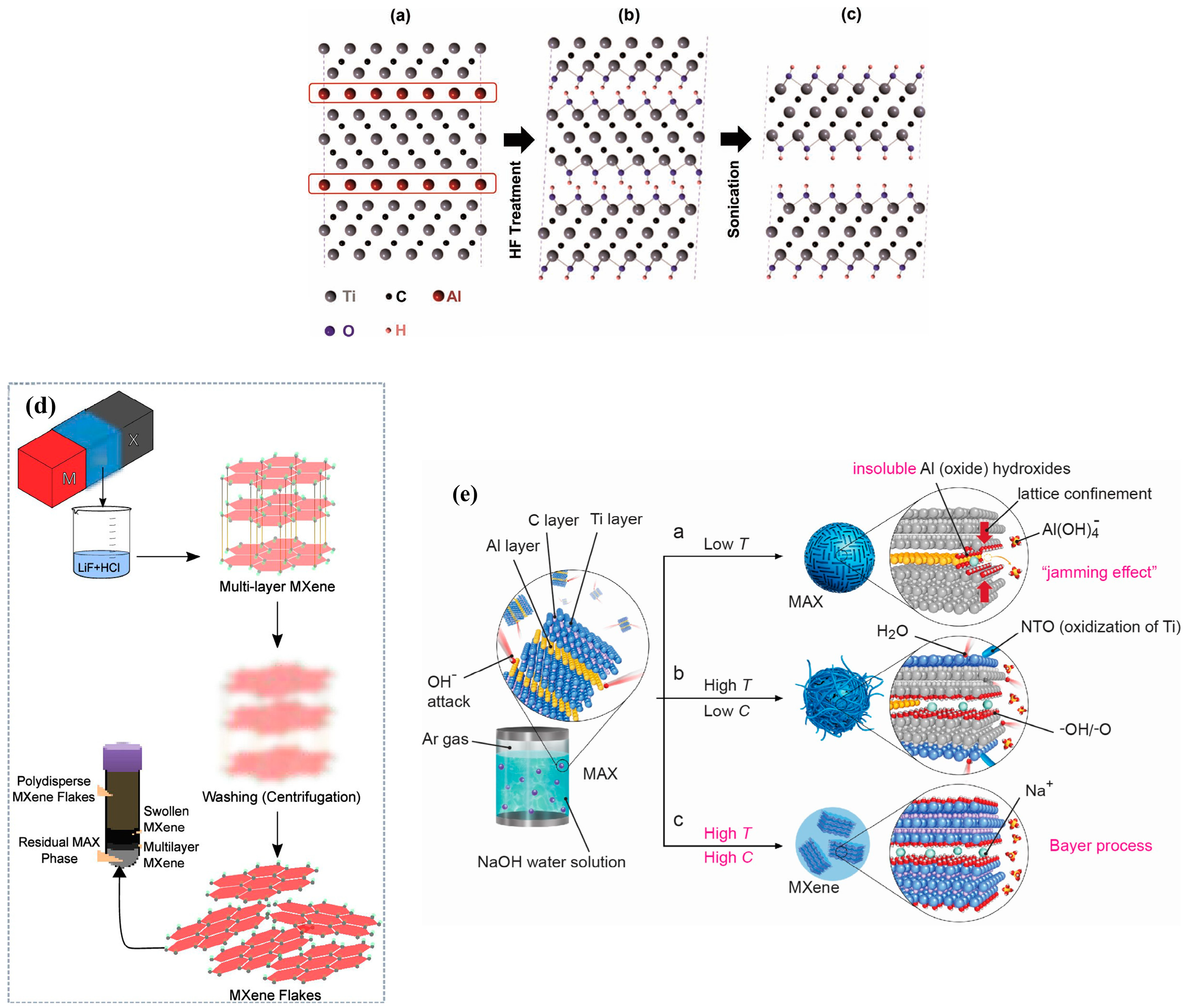 Jlpea 16 00008 g005 Jlpea 16 00008 g005