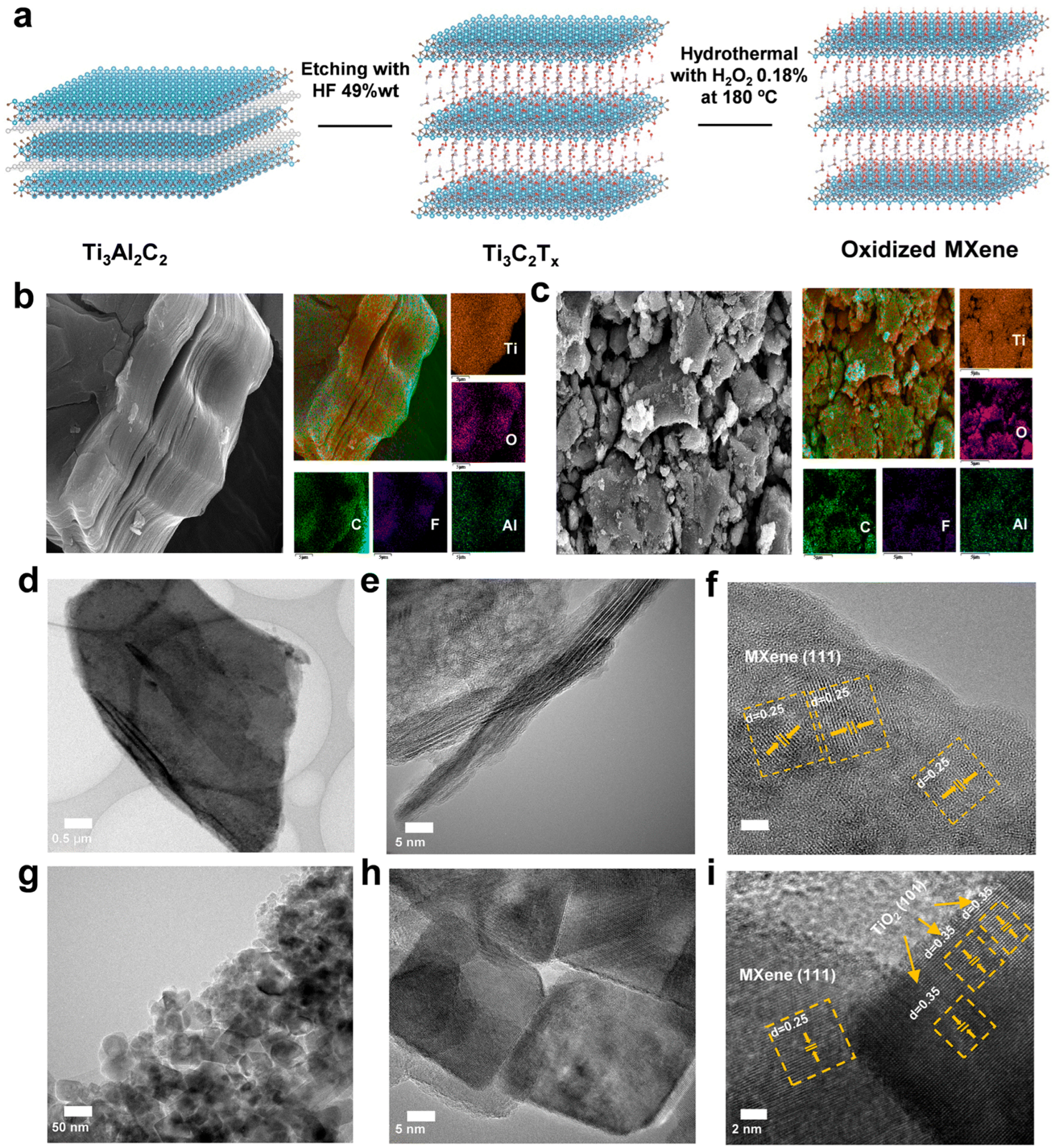 Jlpea 16 00008 g007 Jlpea 16 00008 g007