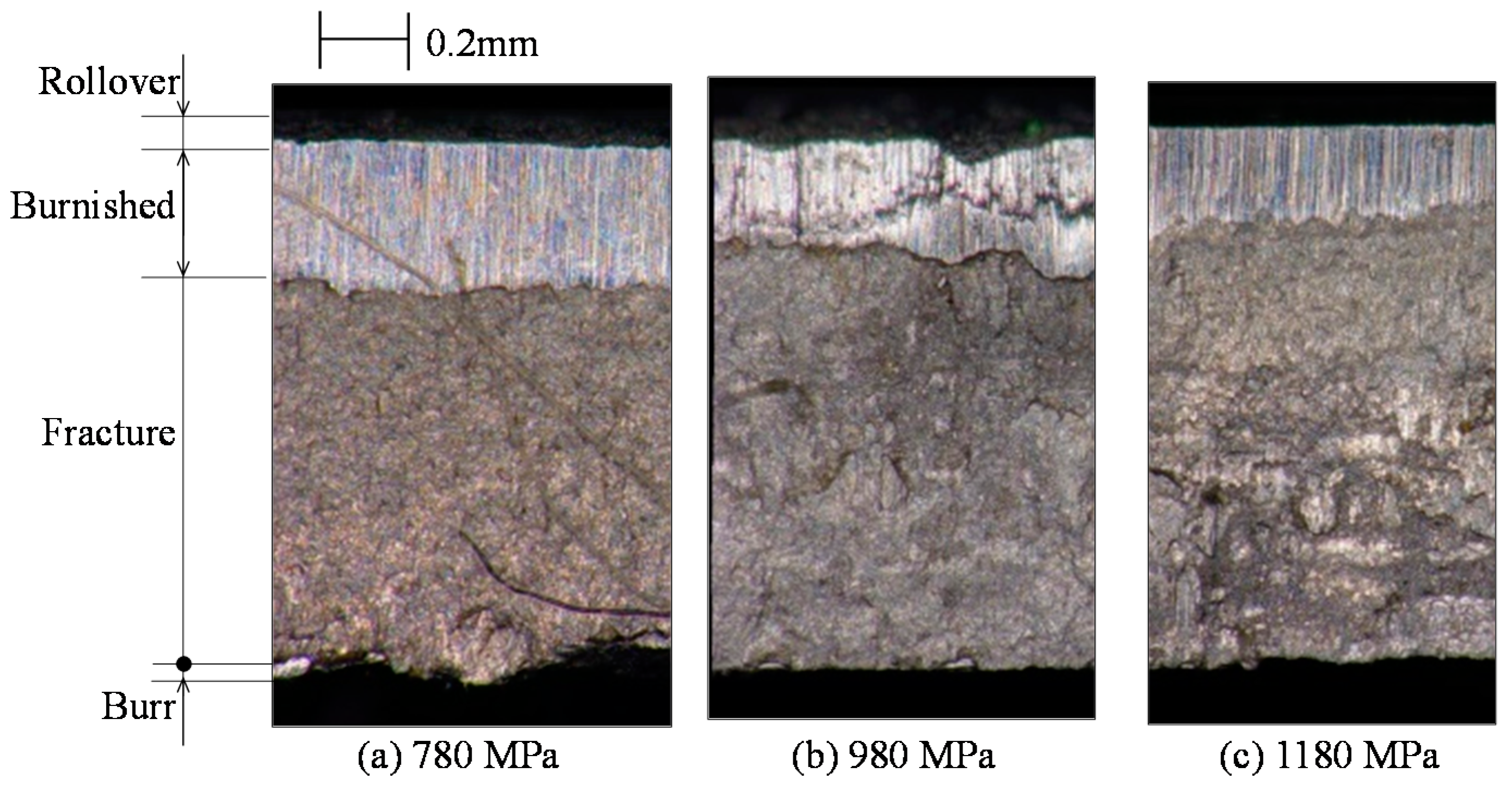 Jmmp 04 00077 g009 Jmmp 04 00077 g009