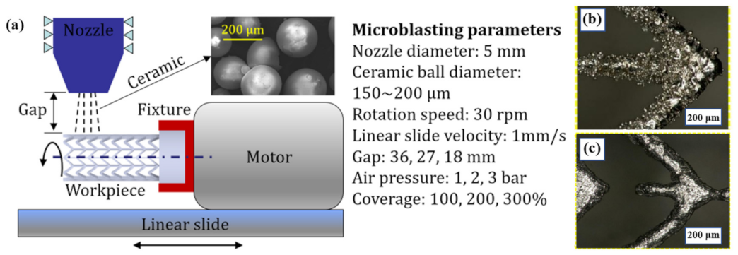 Jmmp 05 00038 g018