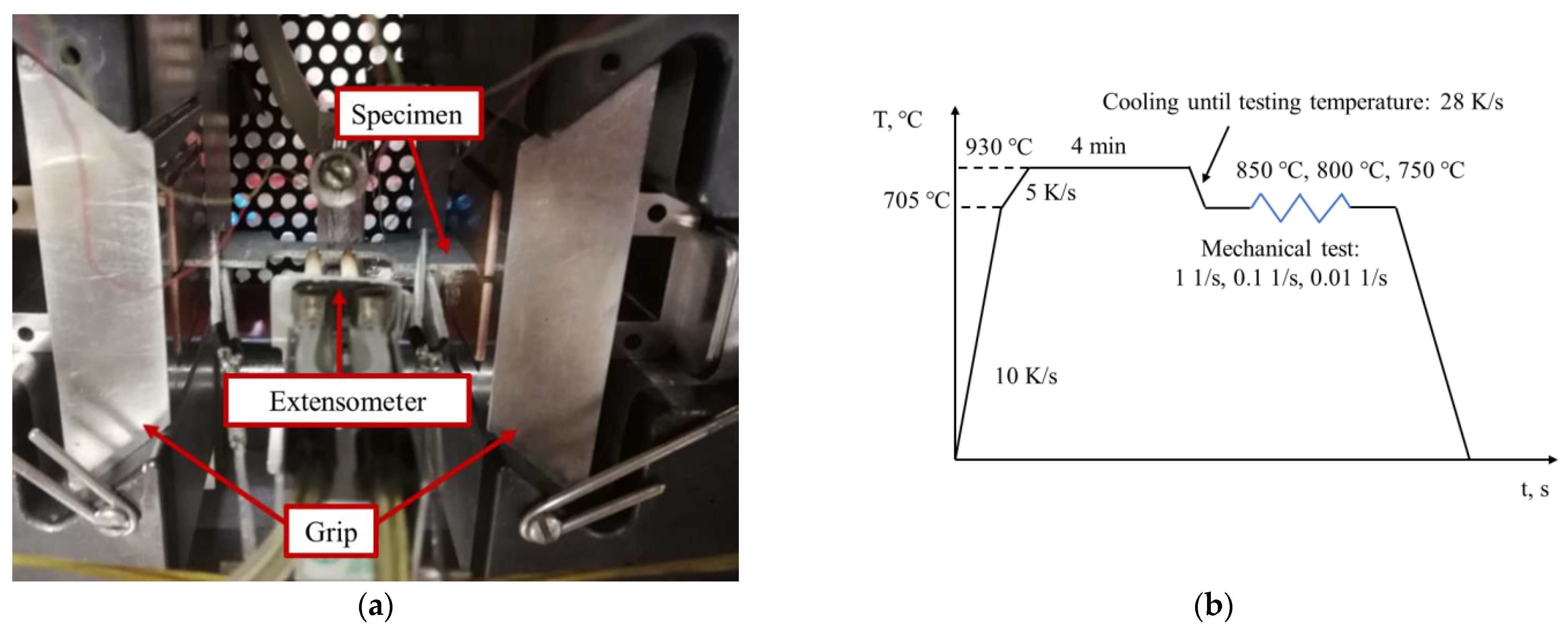 Jmmp 06 00011 g001