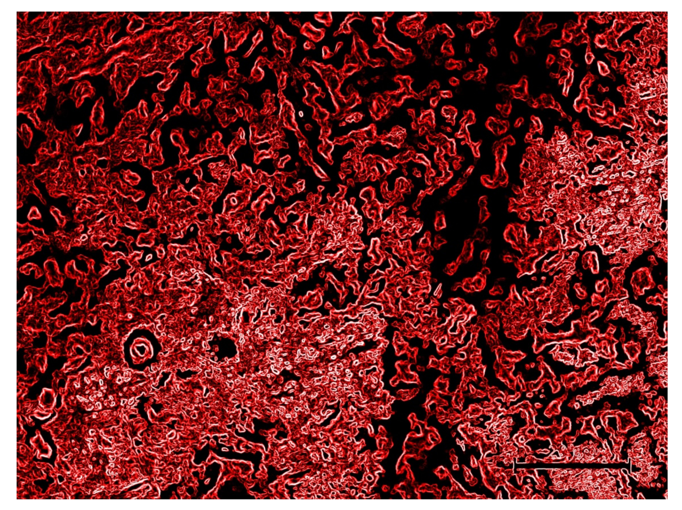 Jmmp 06 00150 g002