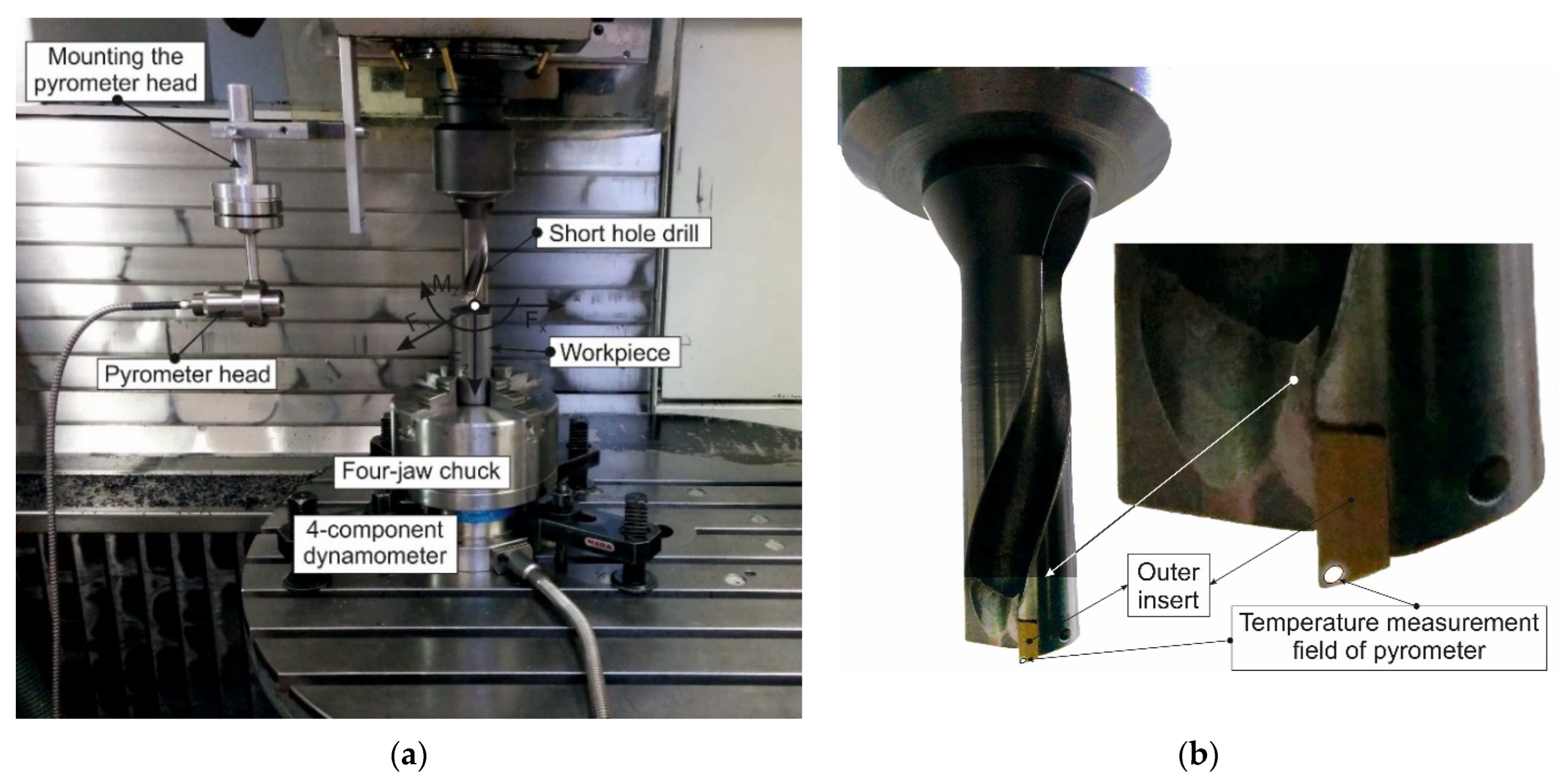 Jmmp 08 00013 g004a Jmmp 08 00013 g004a