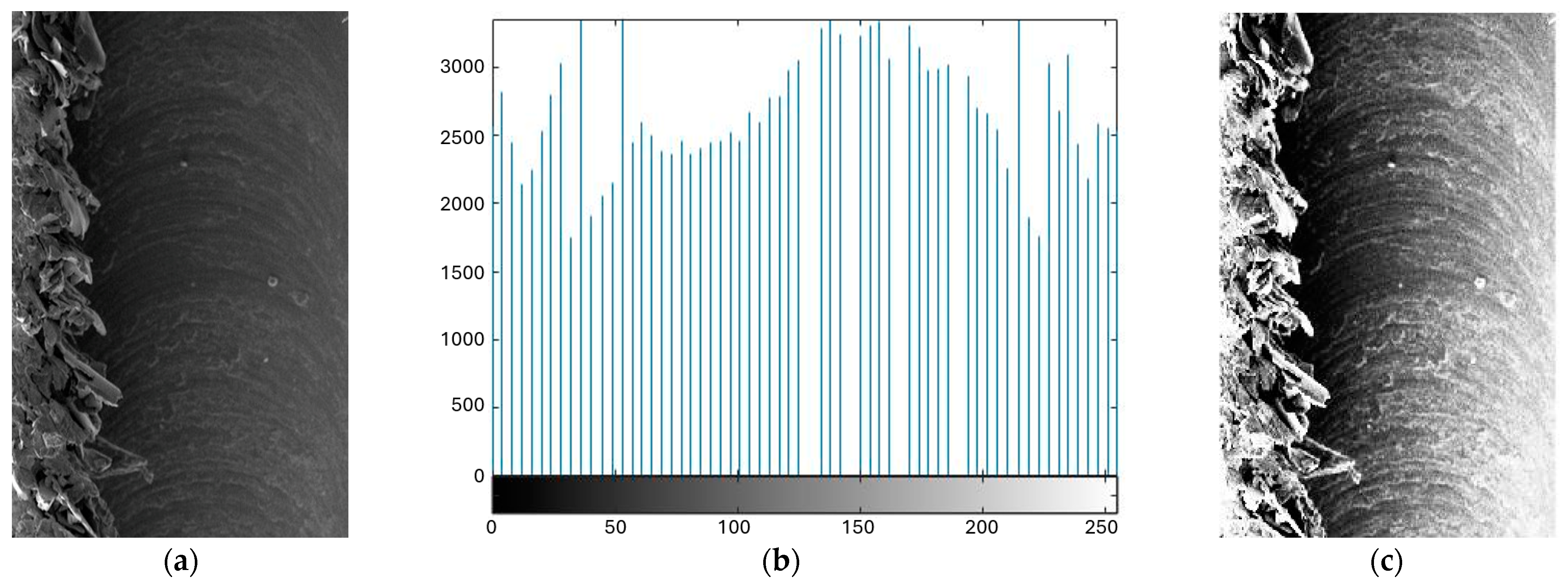 Jmmp 08 00244 g006 Jmmp 08 00244 g006