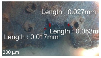 Jmmp 09 00054 i001 Jmmp 09 00054 i001