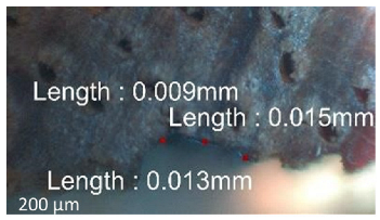 Jmmp 09 00054 i003 Jmmp 09 00054 i003